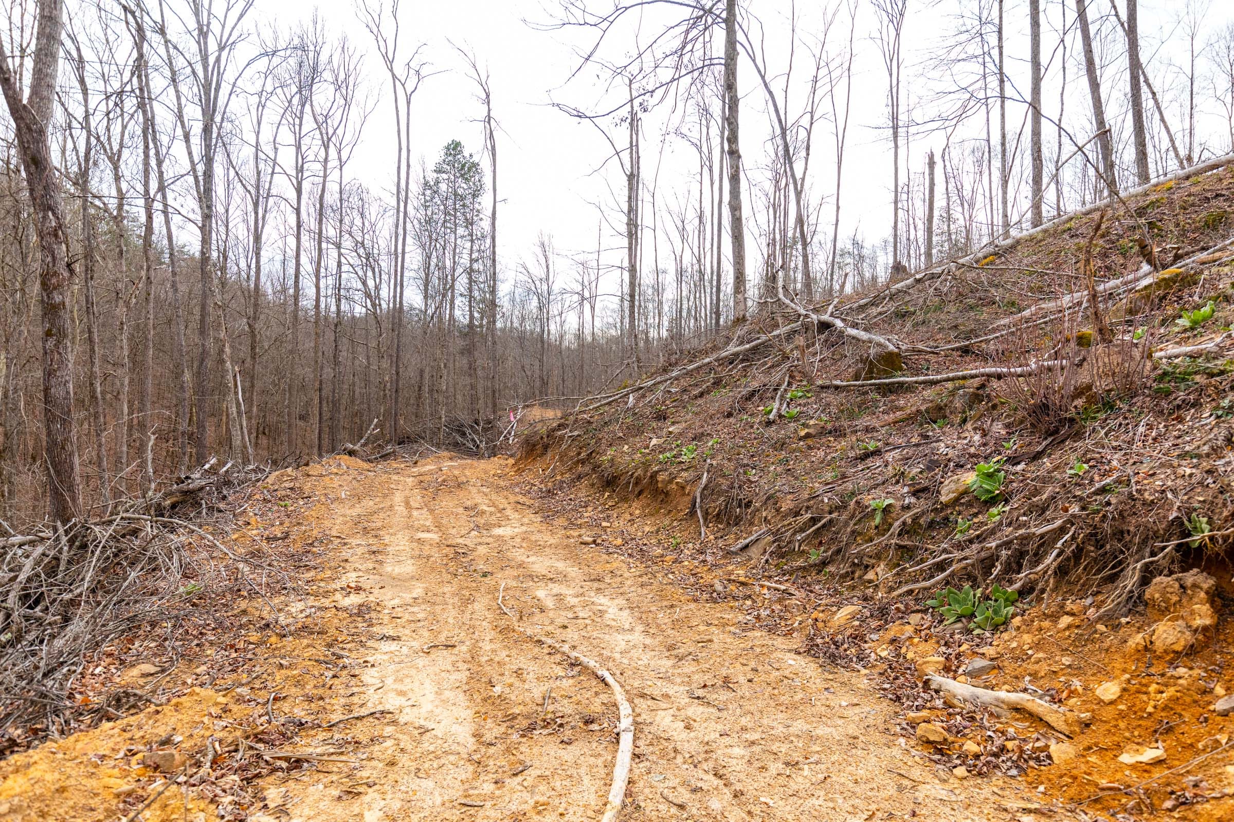 Creek Hollow Phase I Tract 15 photo 13