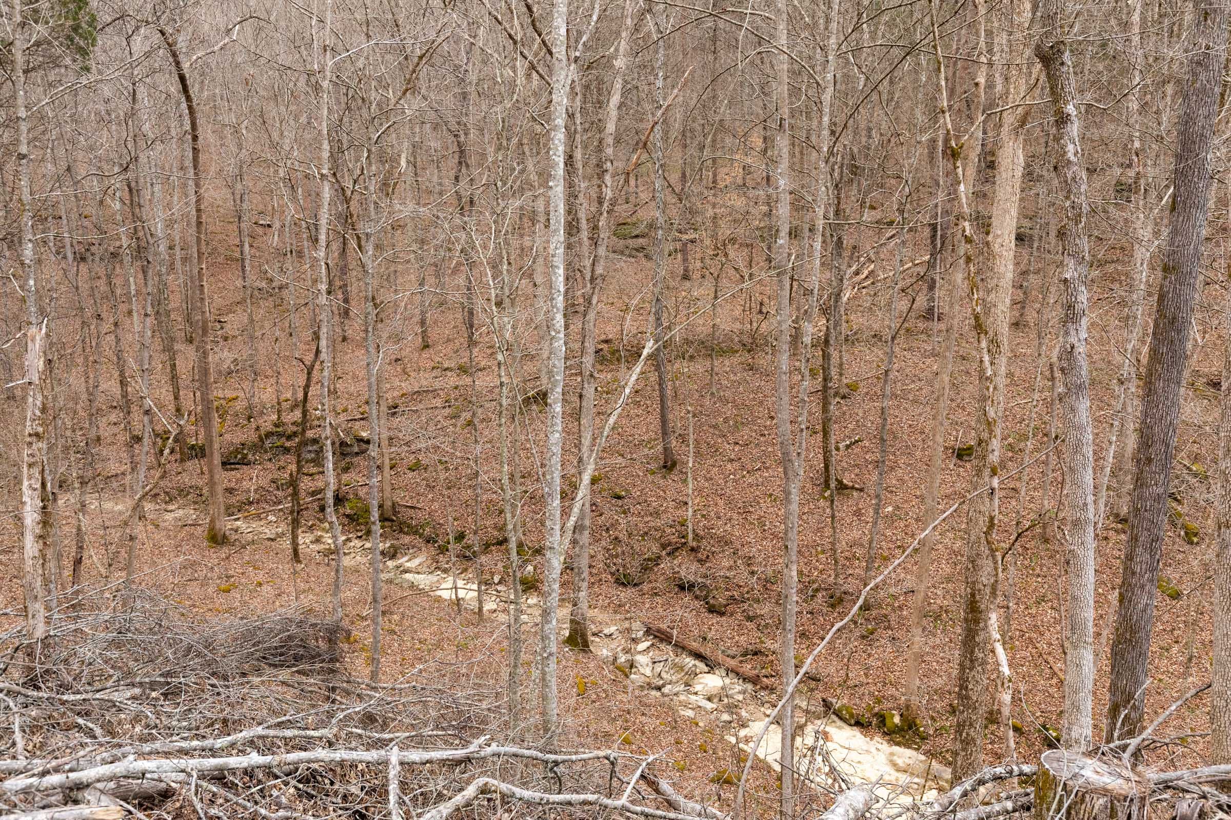 Creek Hollow Phase I Tract 15 photo 9