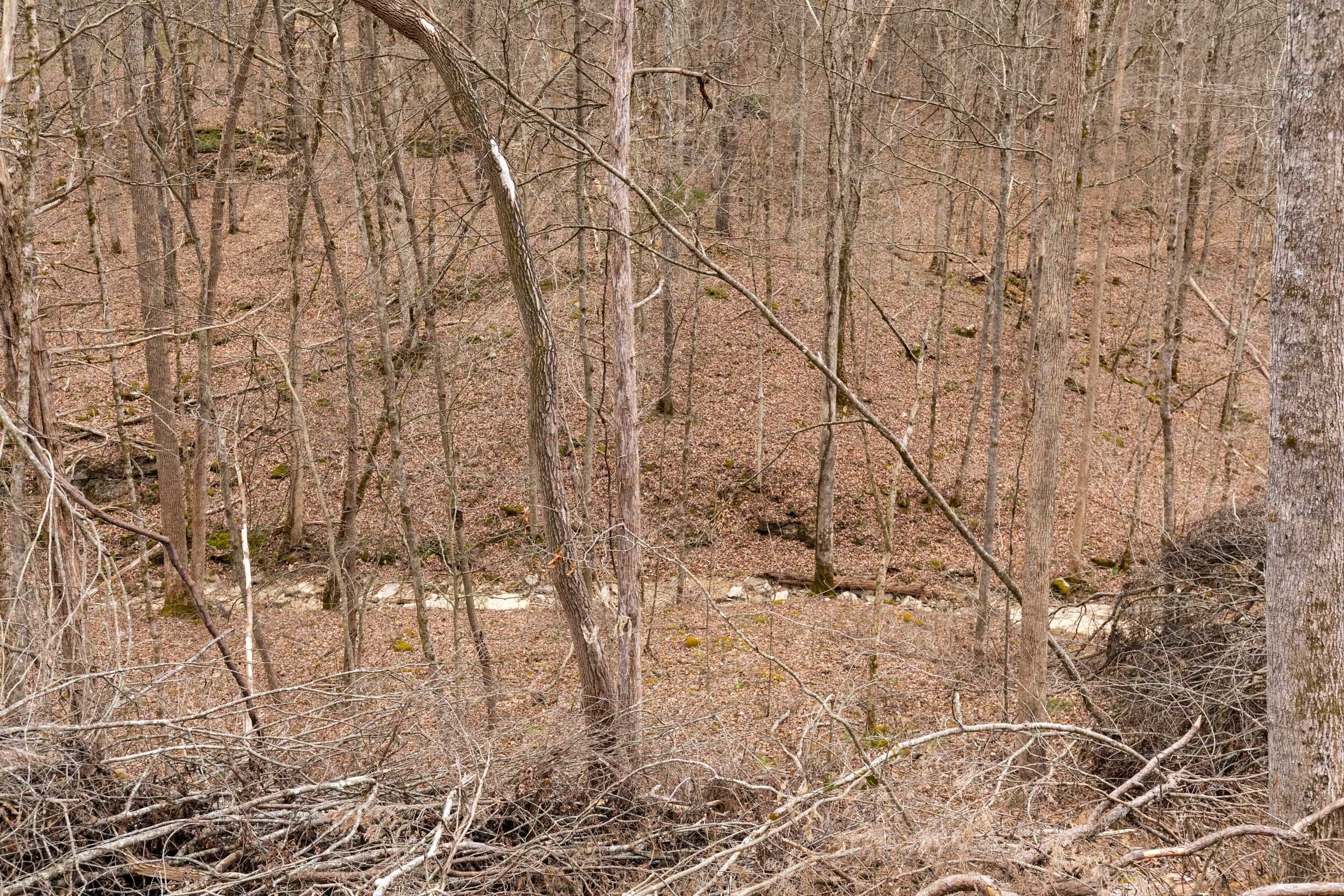 Creek Hollow Phase I Tract 15 photo 11