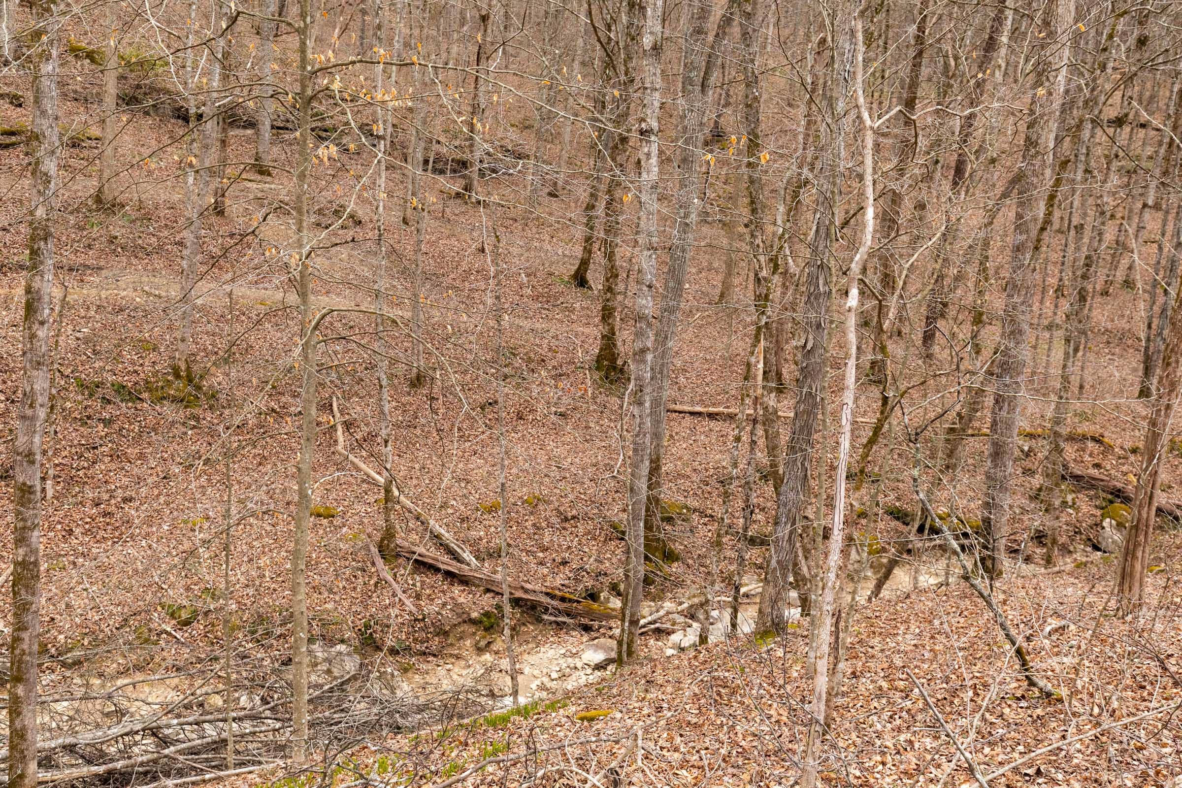 Creek Hollow Phase I Tract 15 photo 12
