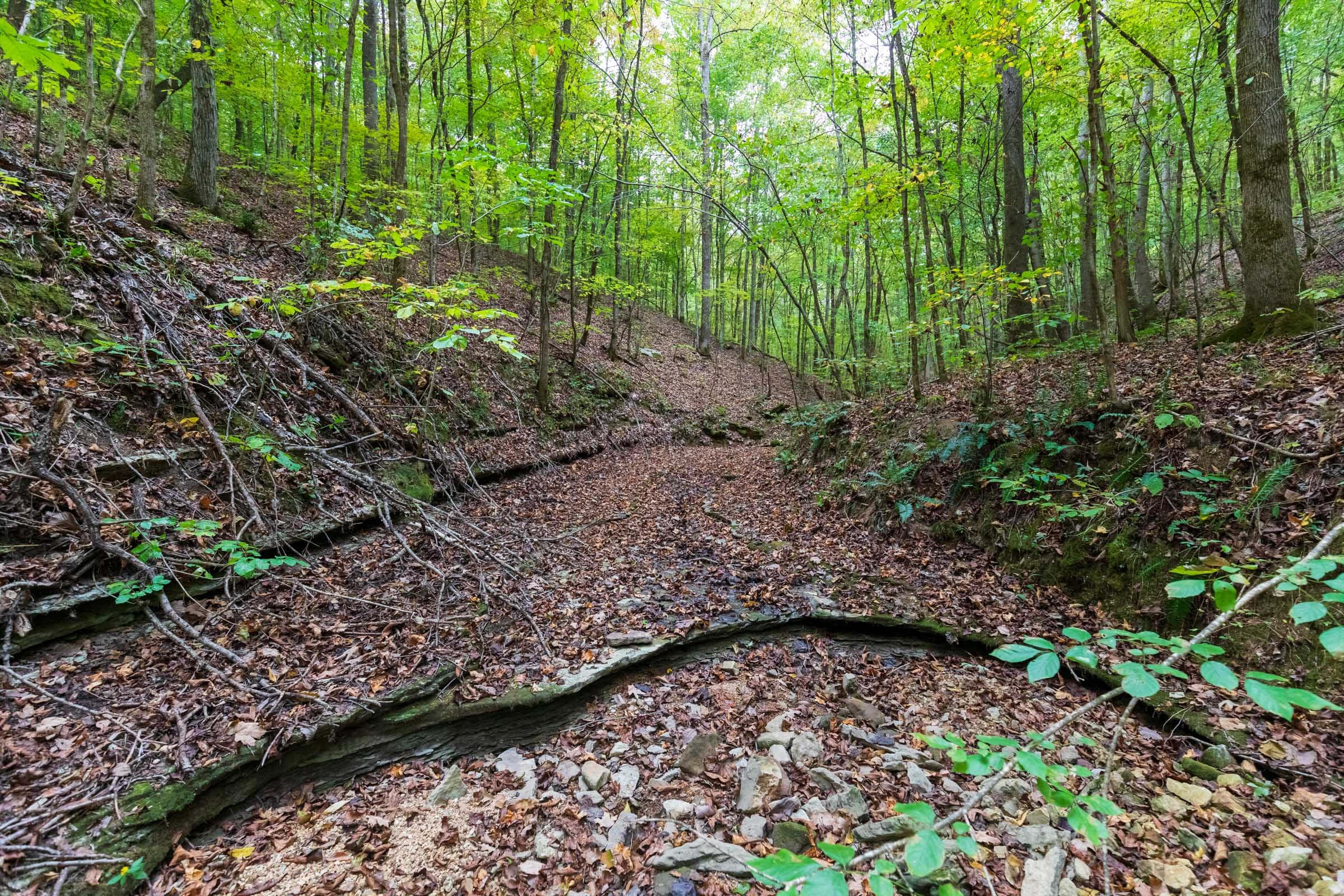 Copper Ridge Tract 6 photo 10