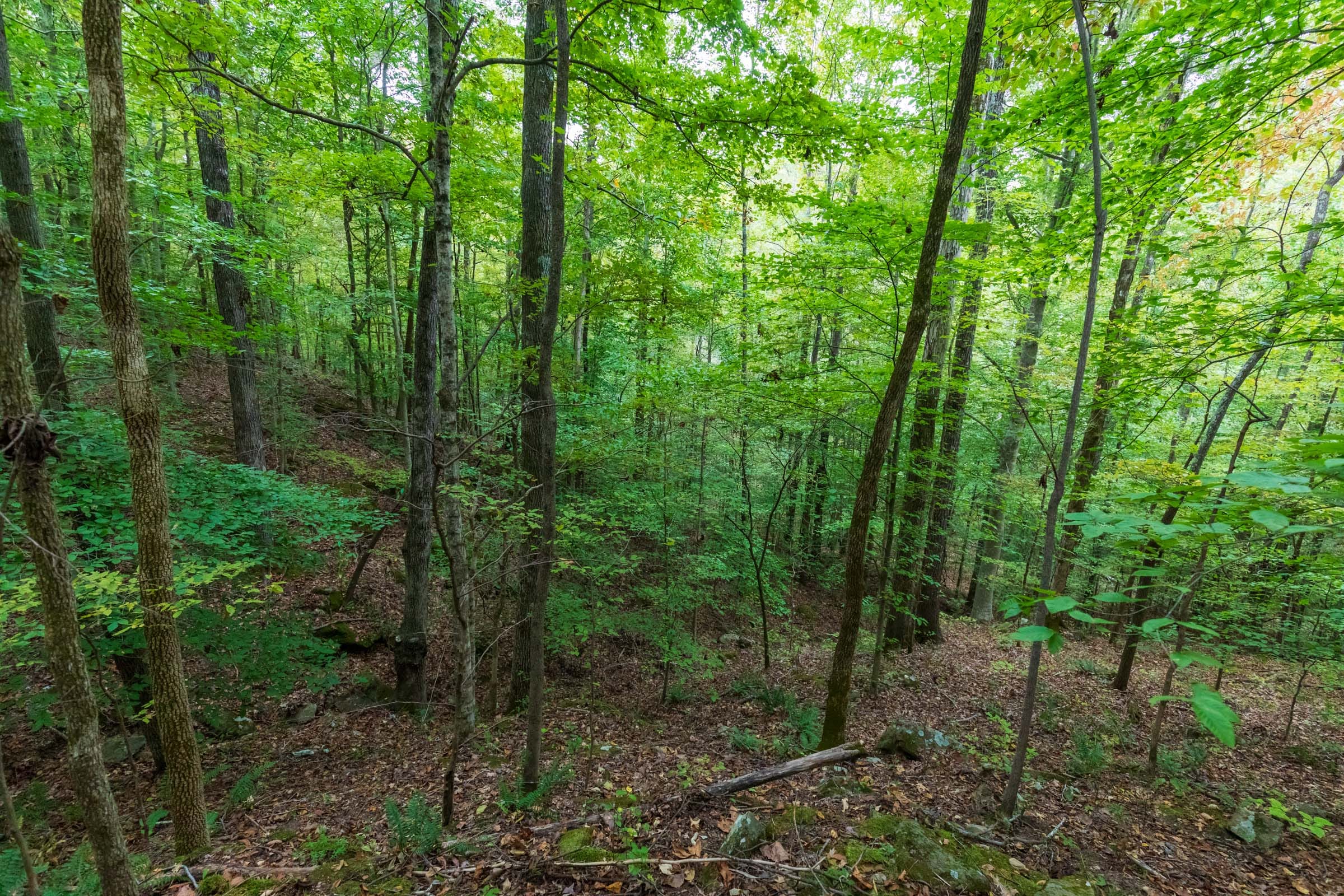 Copper Ridge Tract 6 photo 12