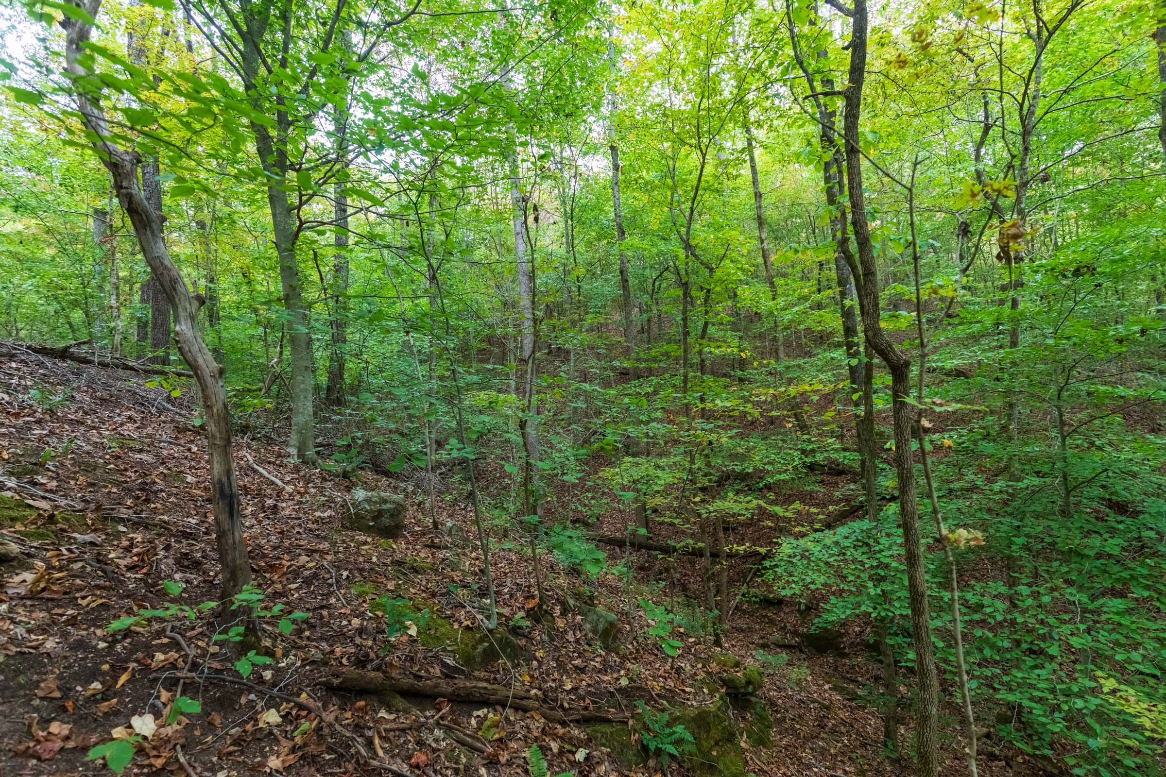 Copper Ridge Tract 6 photo 13