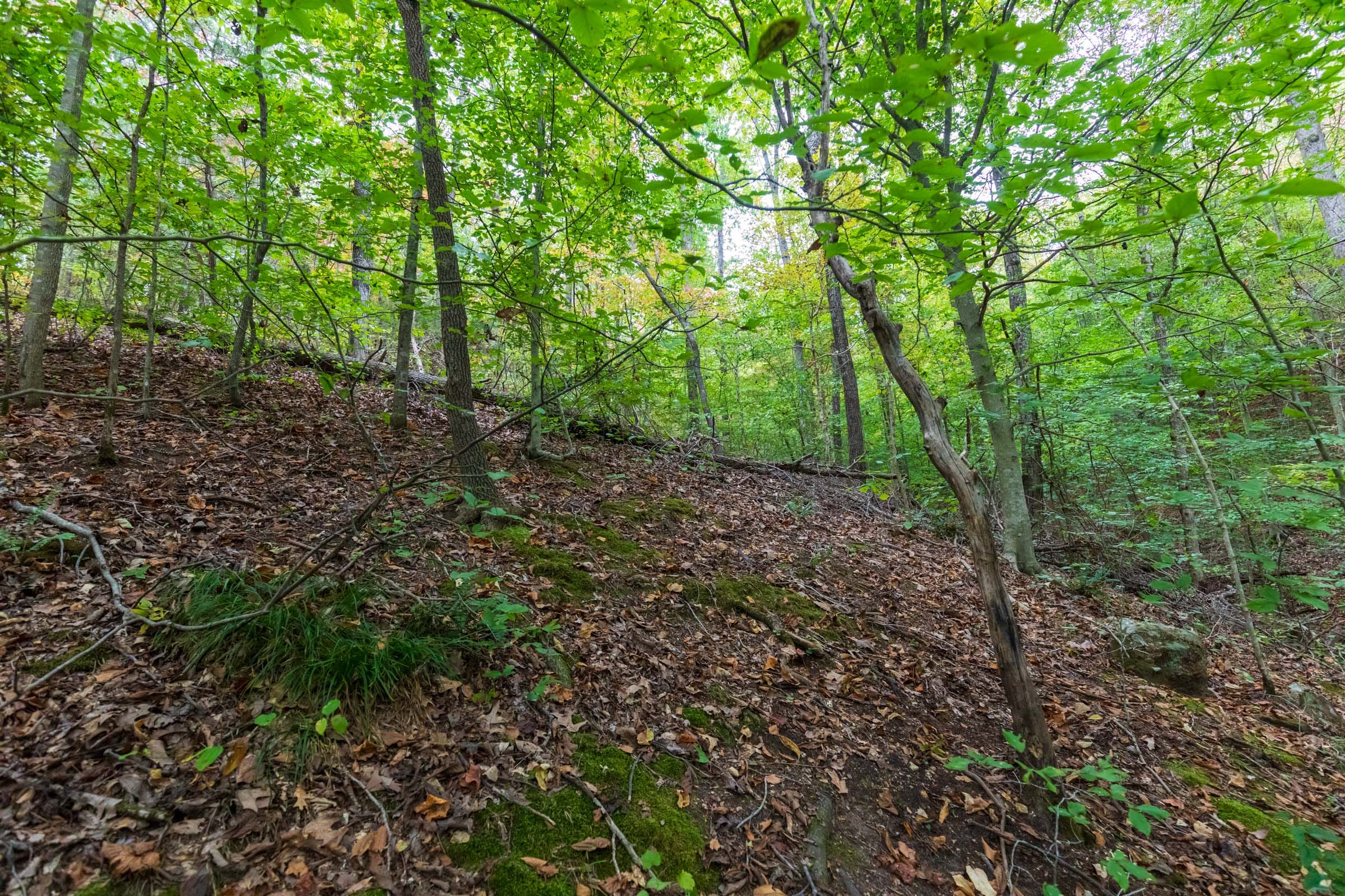 Copper Ridge Tract 6 photo 15
