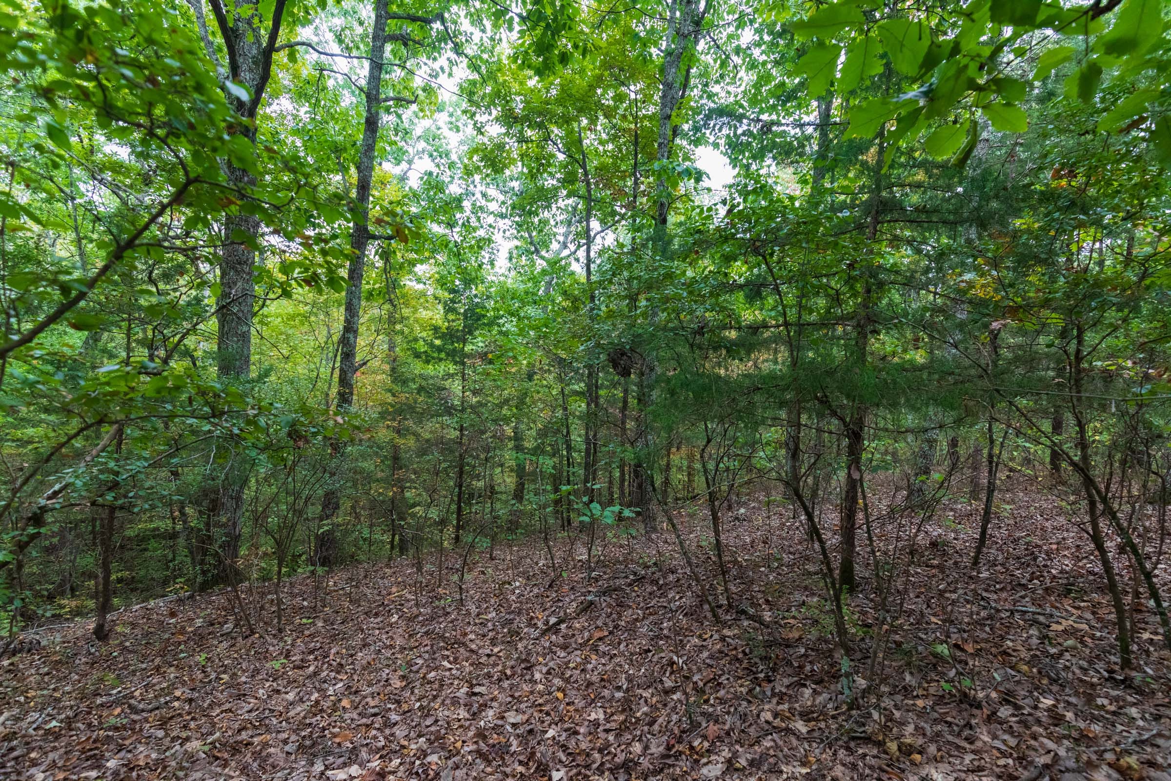Copper Ridge Tract 6 photo 17