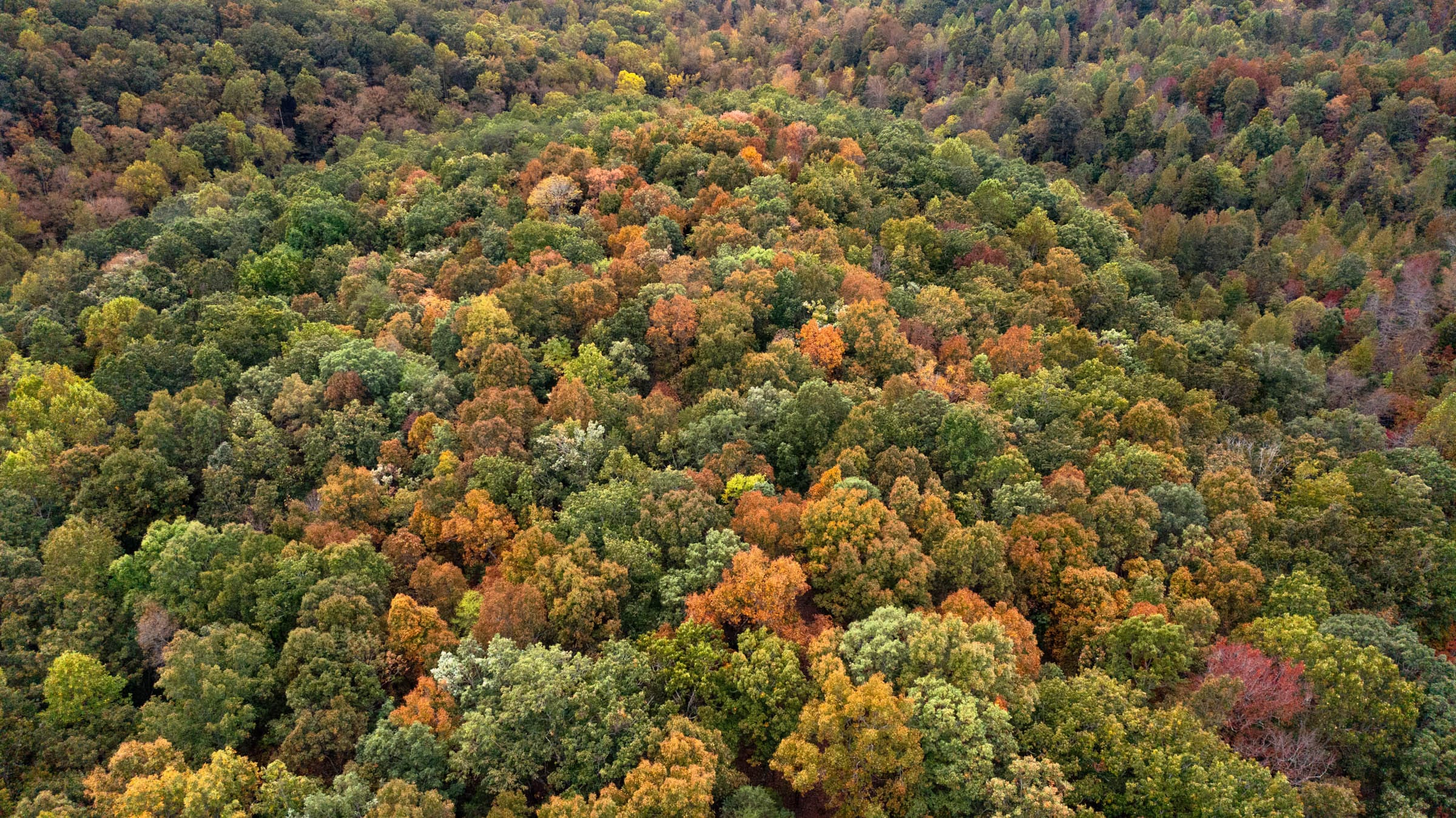 Copper Ridge Tract 6 photo 14