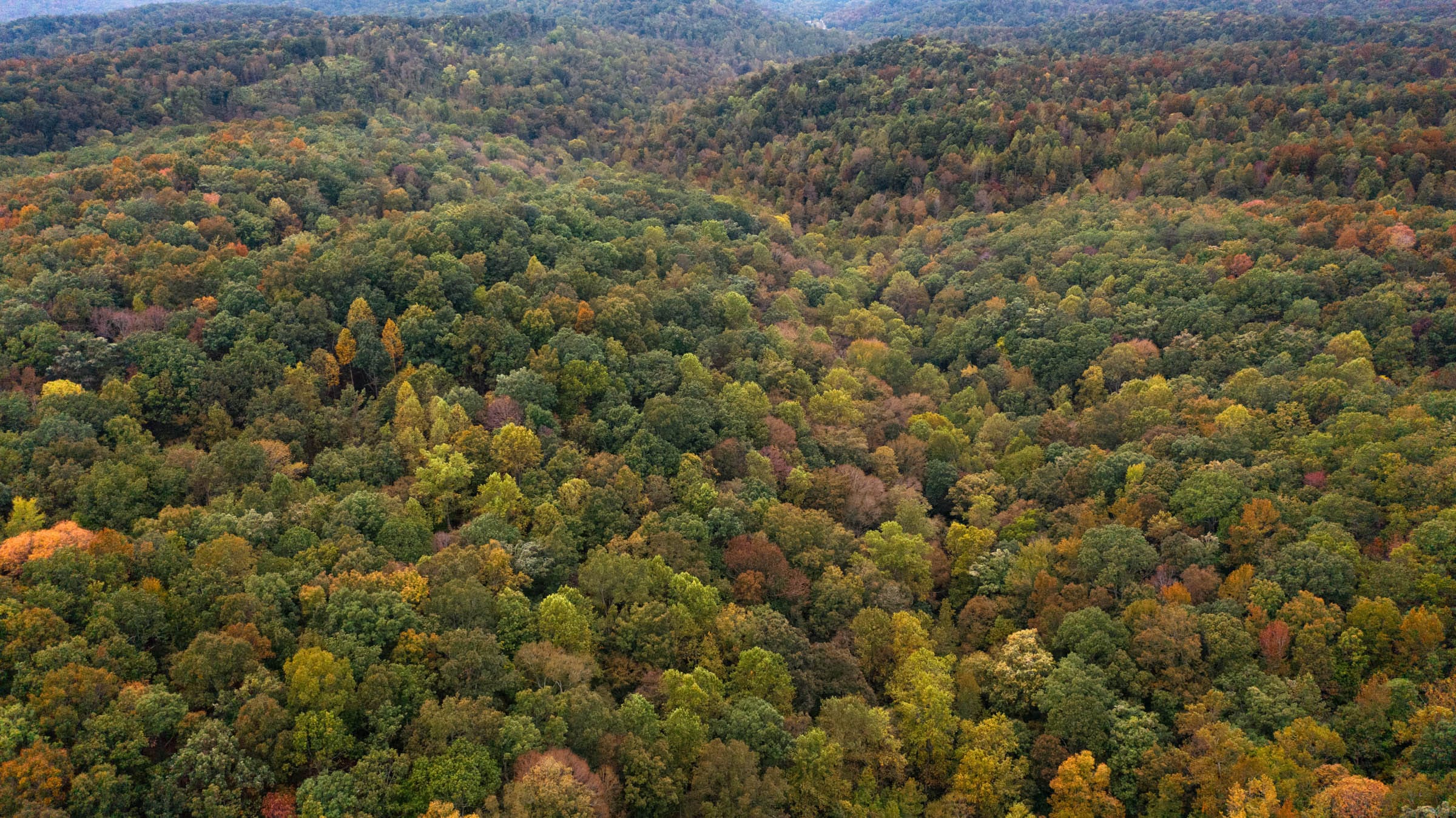 Copper Ridge Tract 6 photo 3