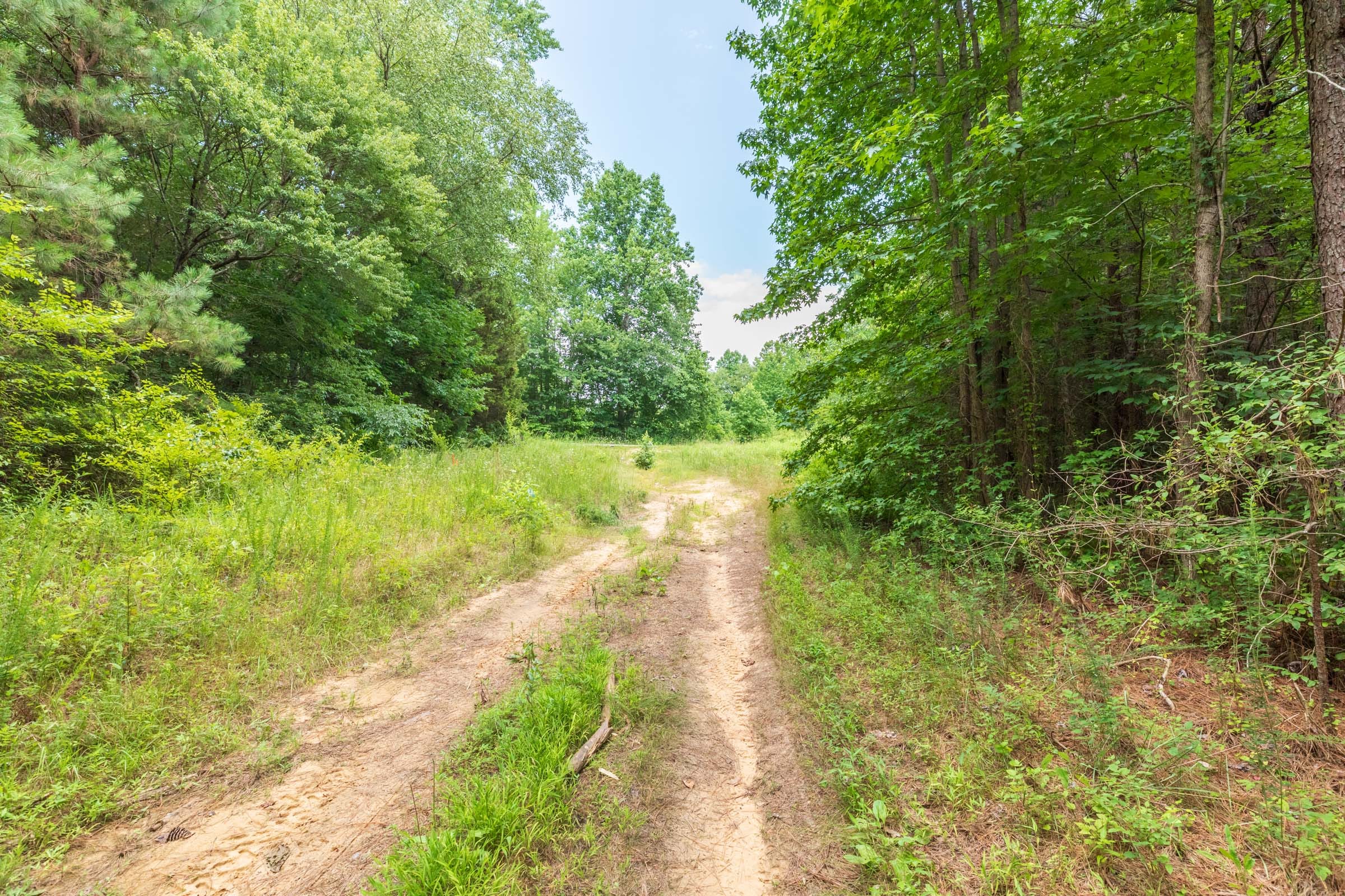 Whiskey Ridge Tract 12 photo 1