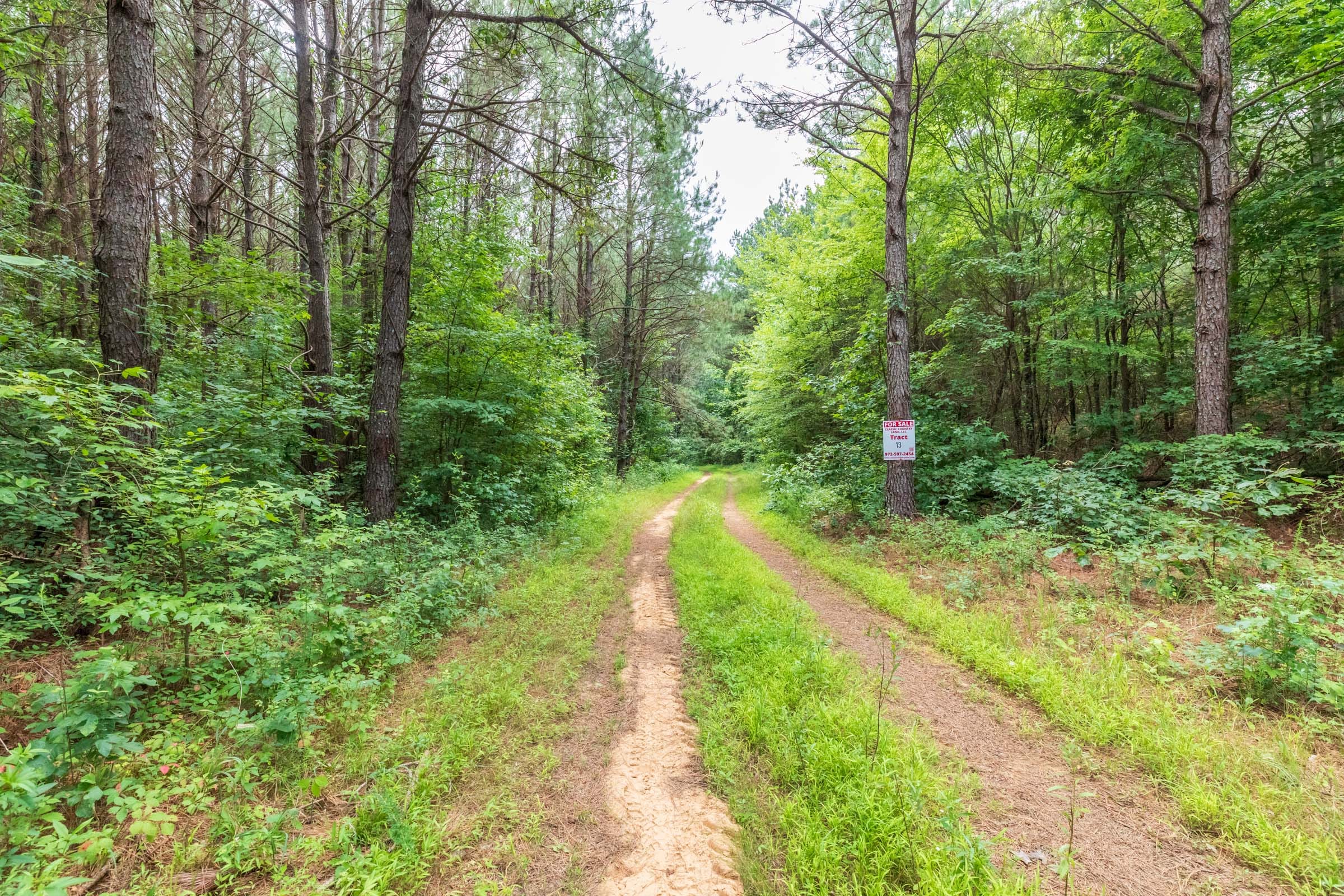Whiskey Ridge Tract 12 photo 5