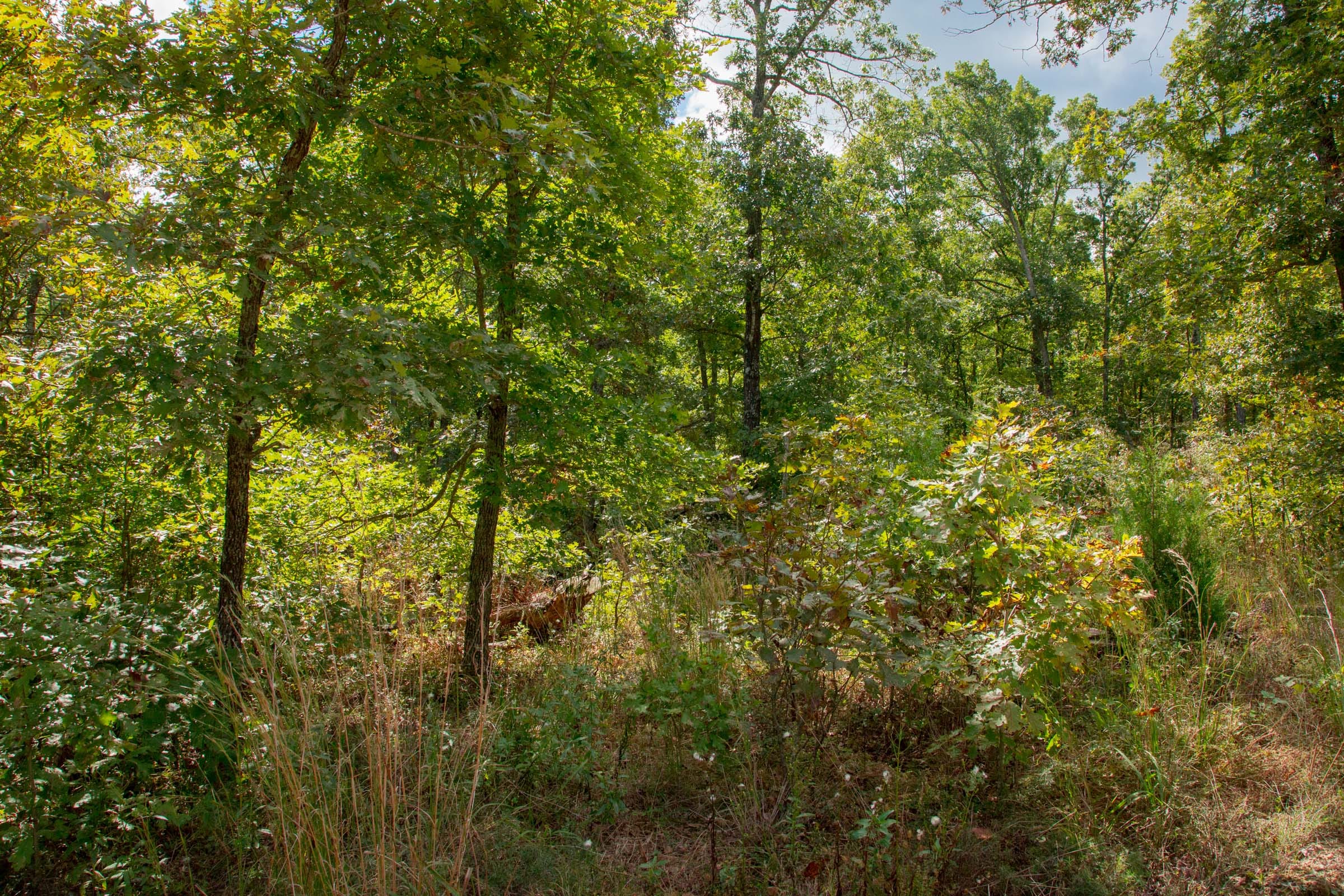 Wagon Wheel Ranch Tract 35 photo 3