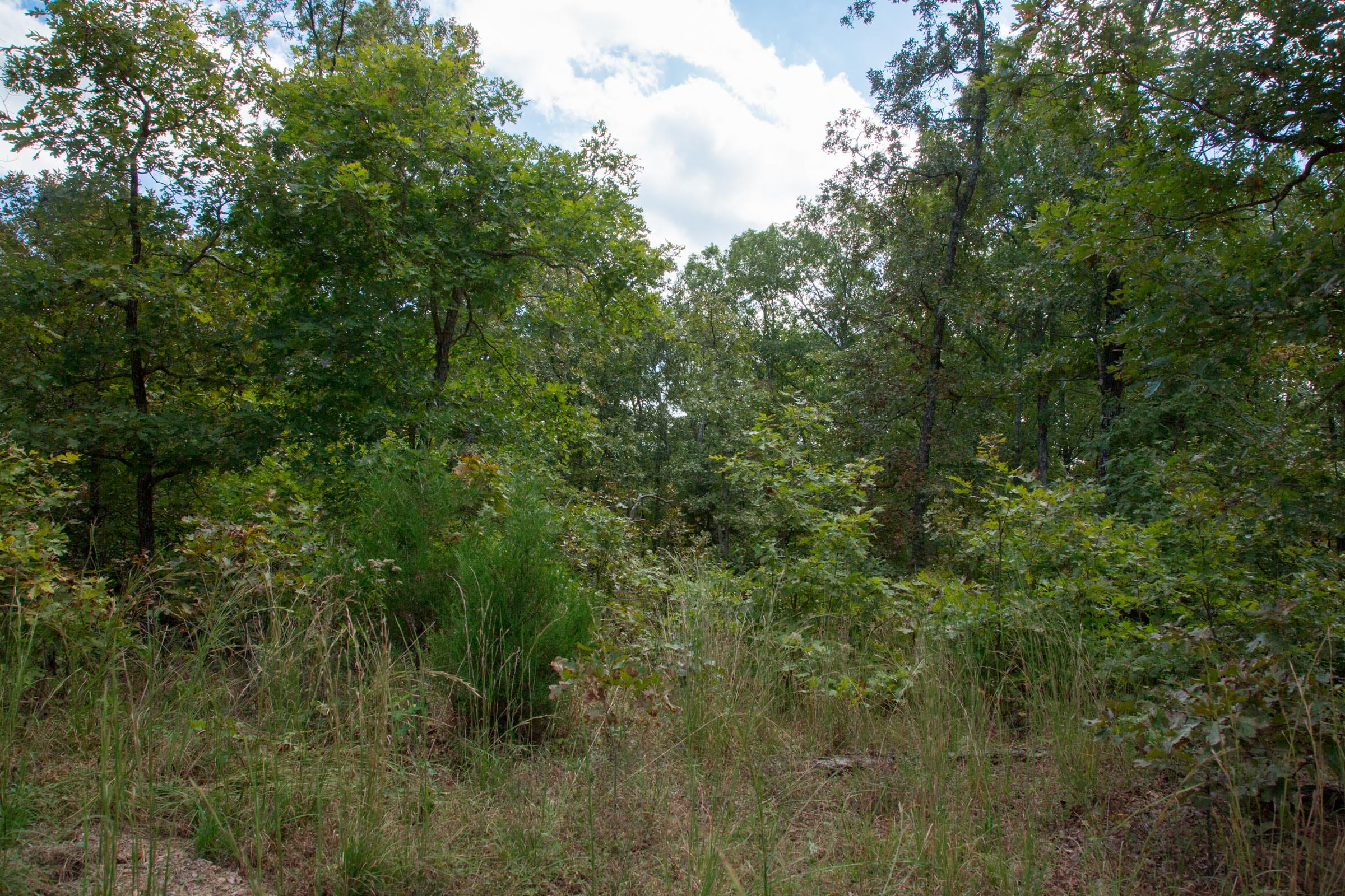 Wagon Wheel Ranch Tract 35 photo 4