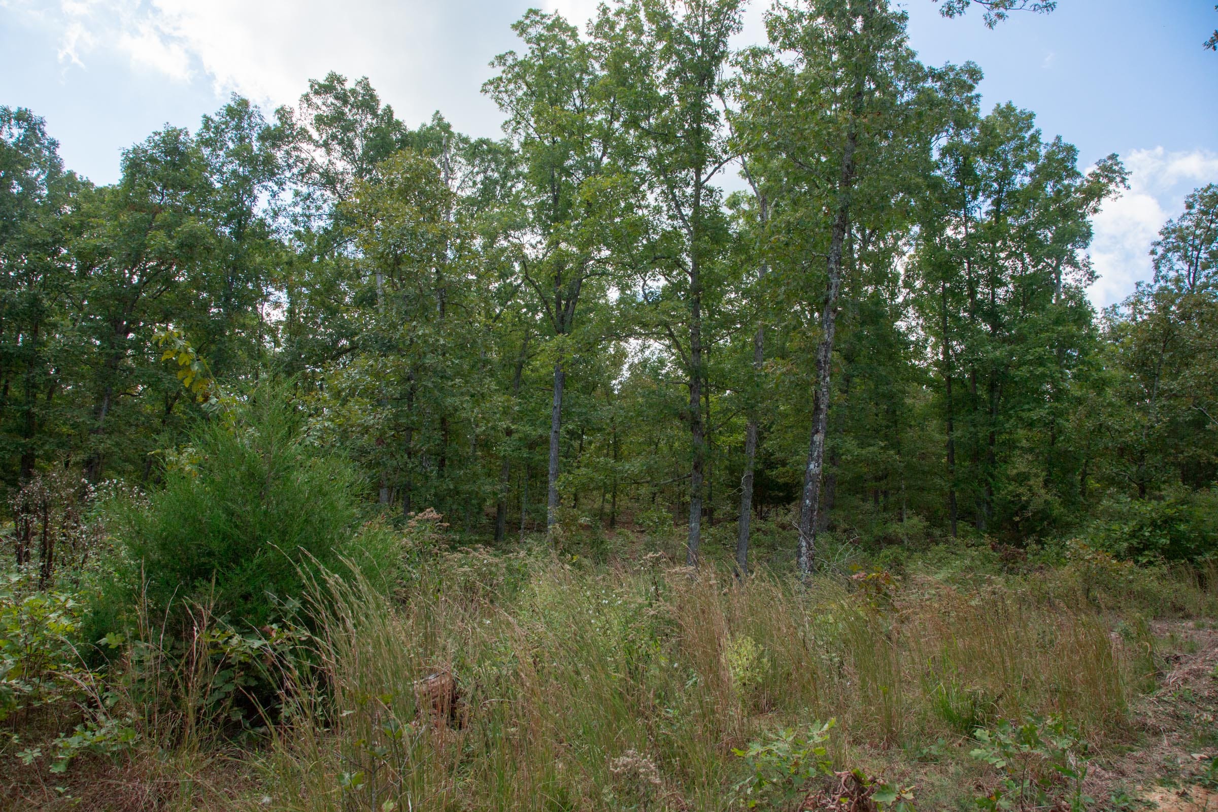 Wagon Wheel Ranch Tract 35 photo 7
