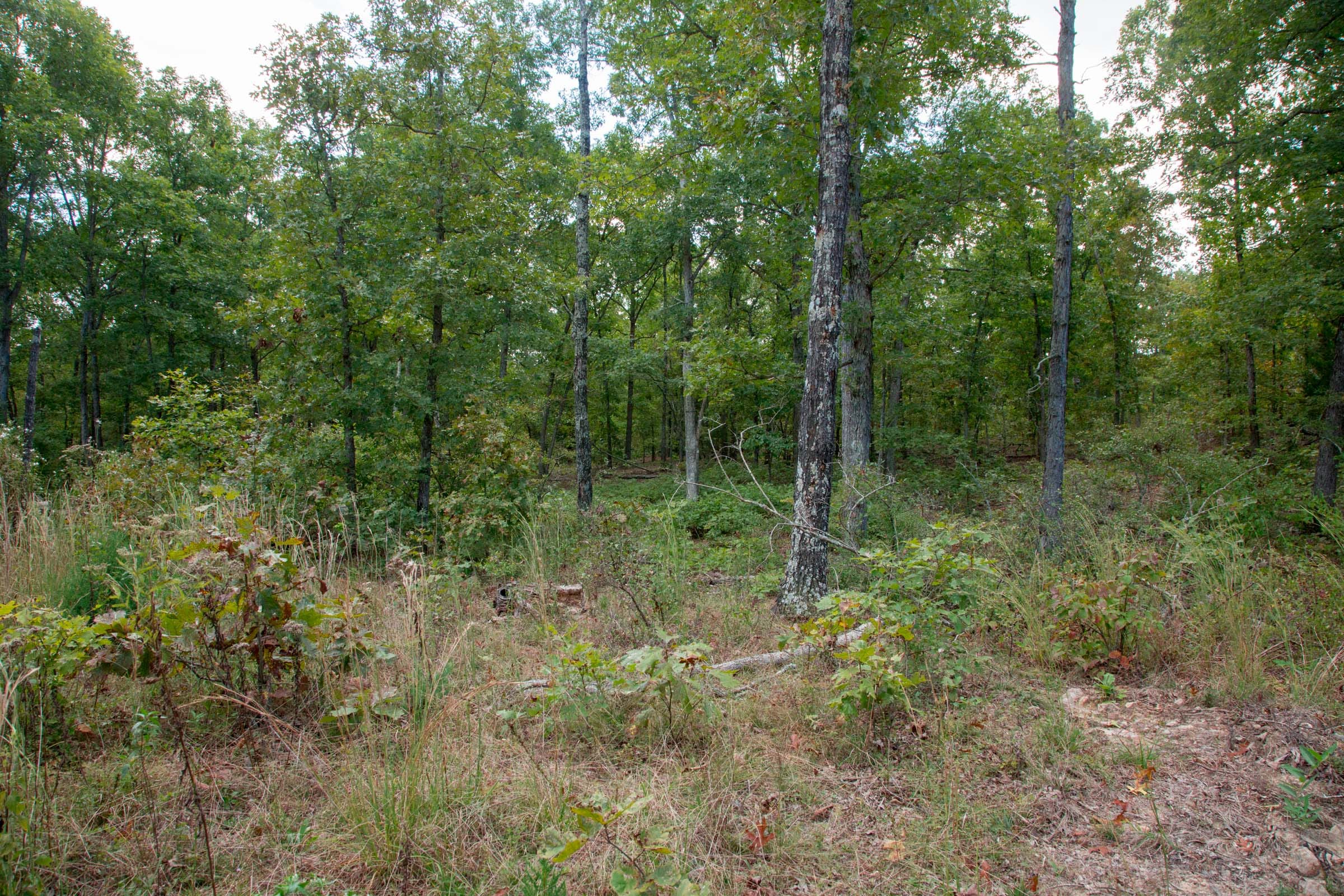 Wagon Wheel Ranch Tract 35 photo 1