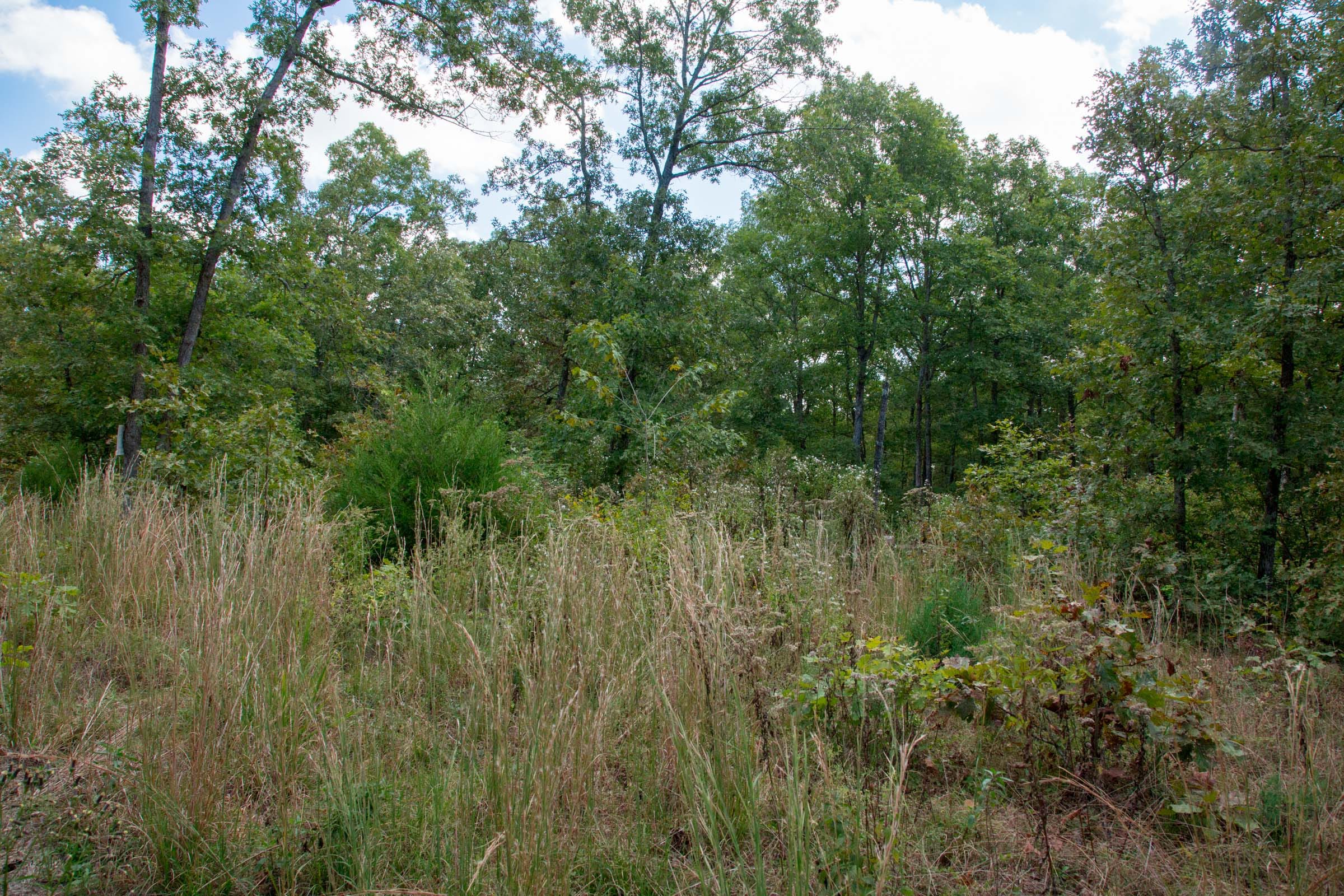 Wagon Wheel Ranch Tract 35 photo 8