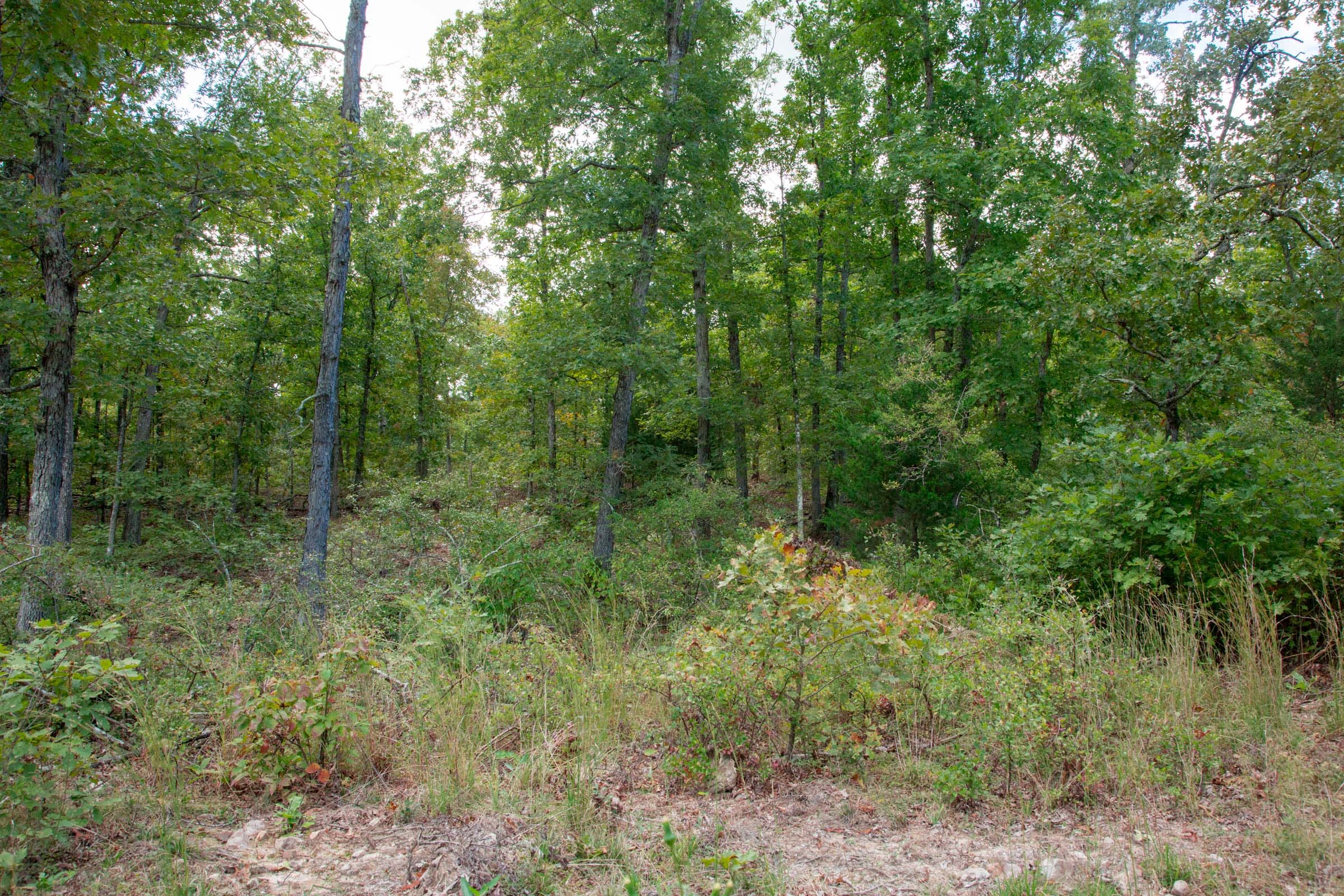 Wagon Wheel Ranch Tract 35 photo 9