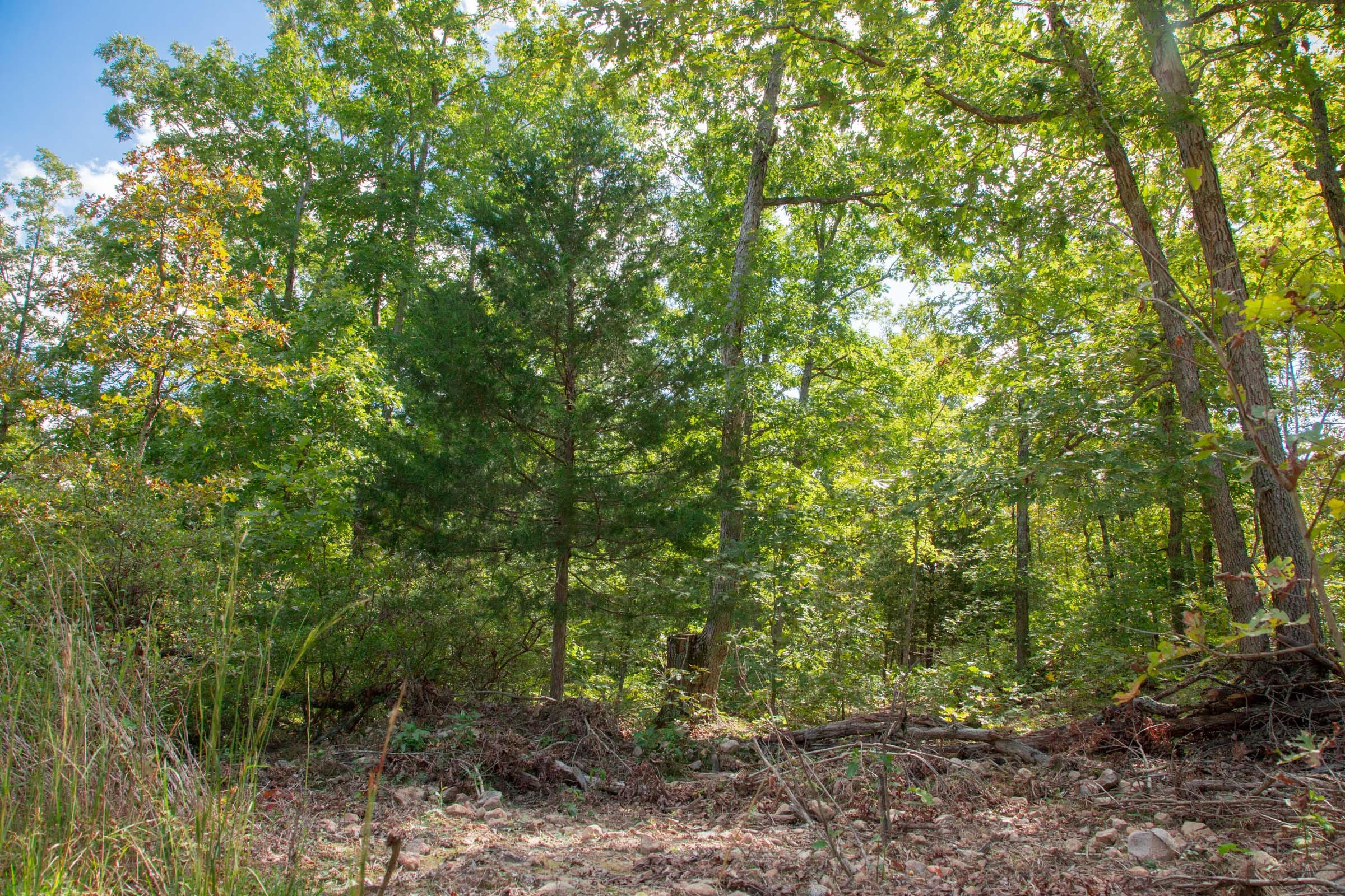 Wagon Wheel Ranch Tract 35 photo 11