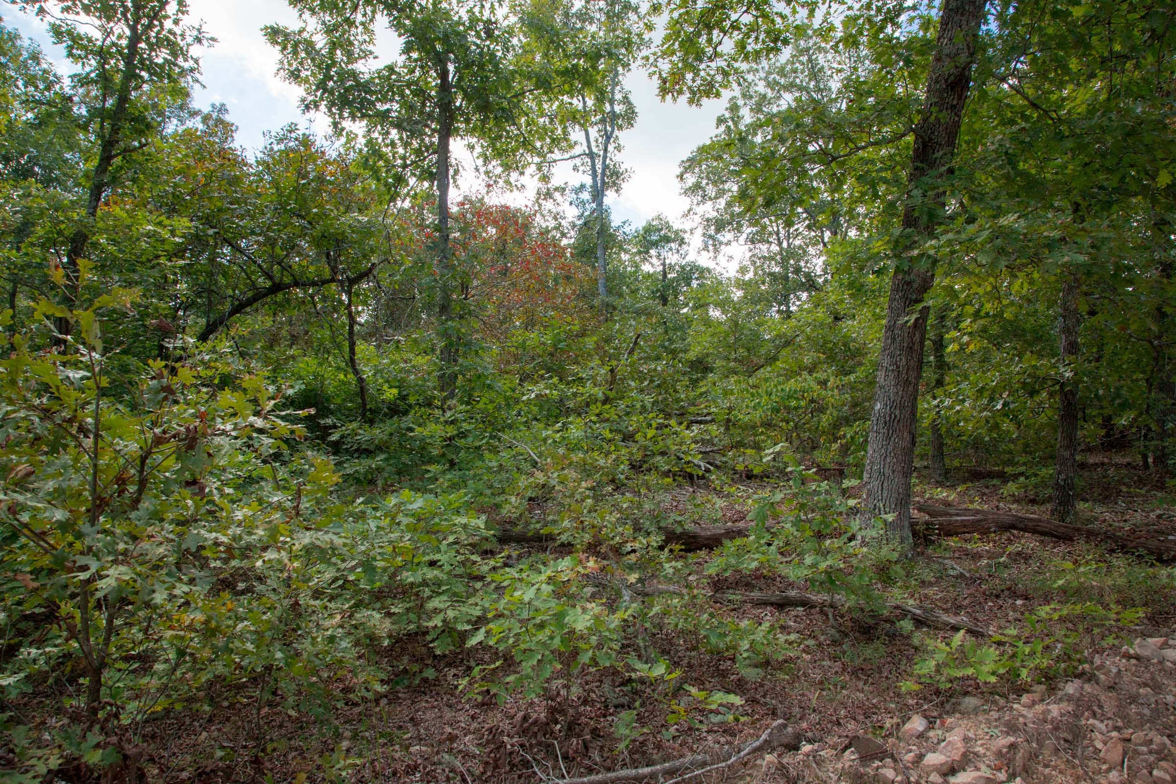 Wagon Wheel Ranch Tract 35 photo 12