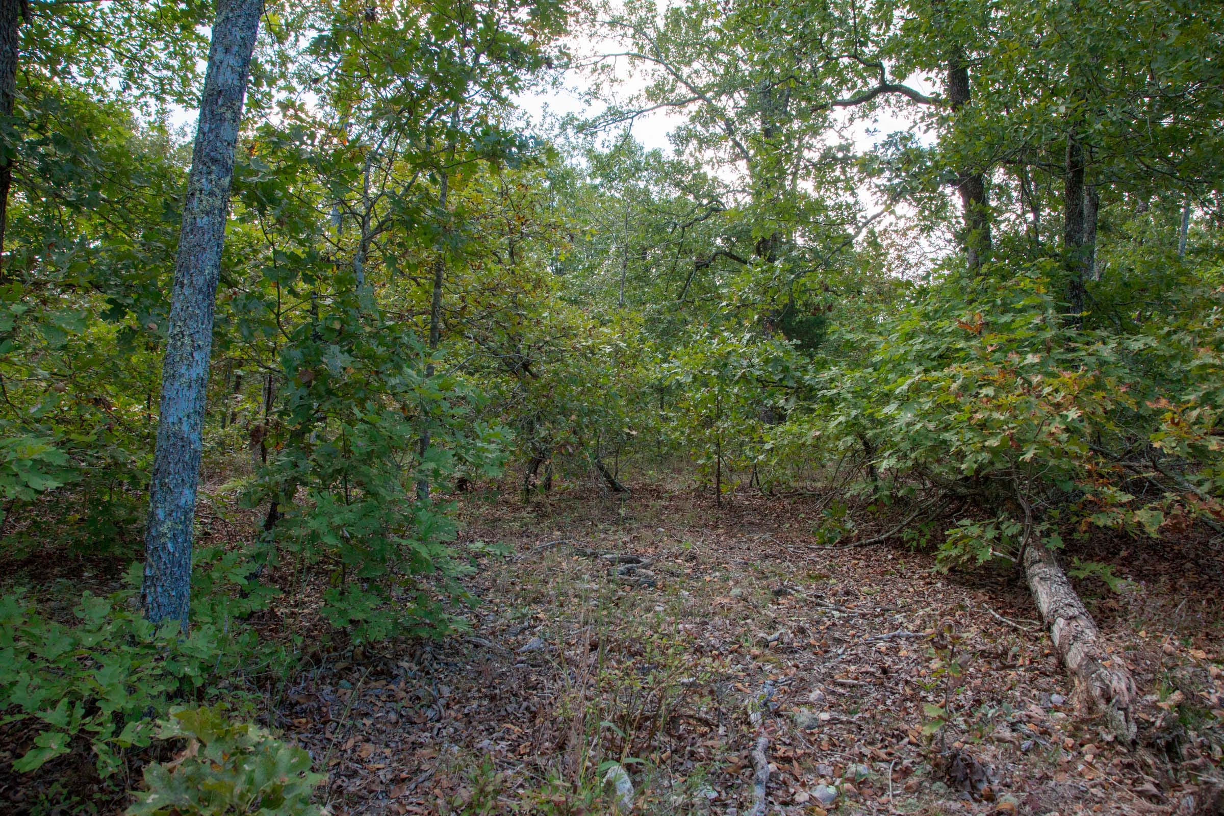 Wagon Wheel Ranch Tract 35 photo 13