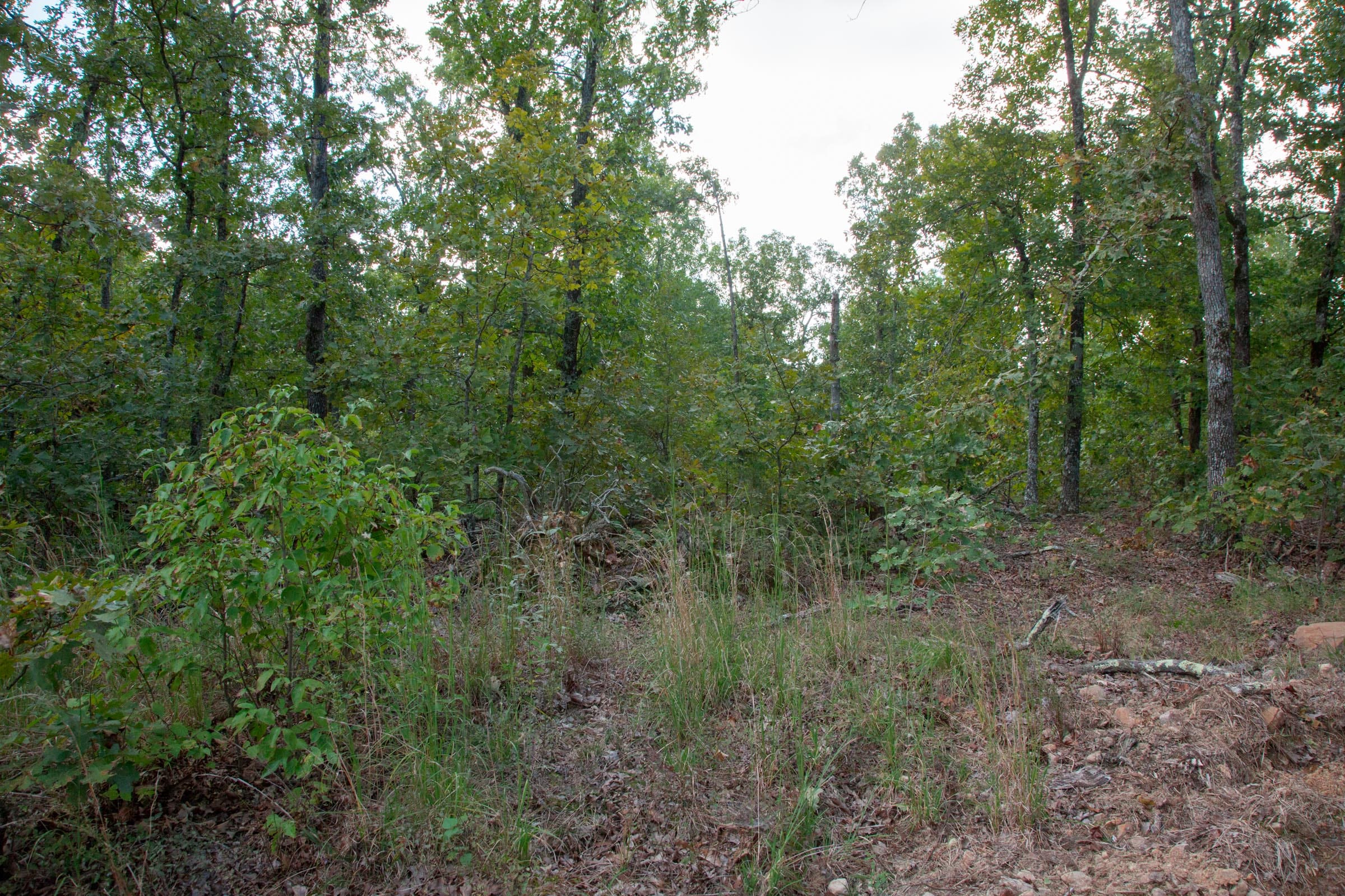 Wagon Wheel Ranch Tract 35 photo 14