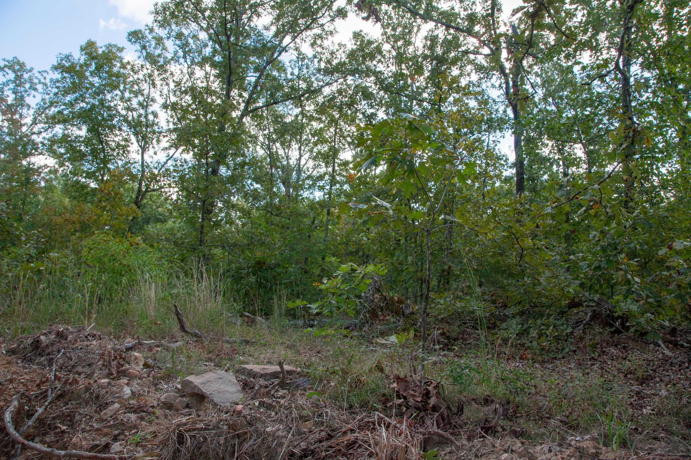 Wagon Wheel Ranch Tract 35 photo 15
