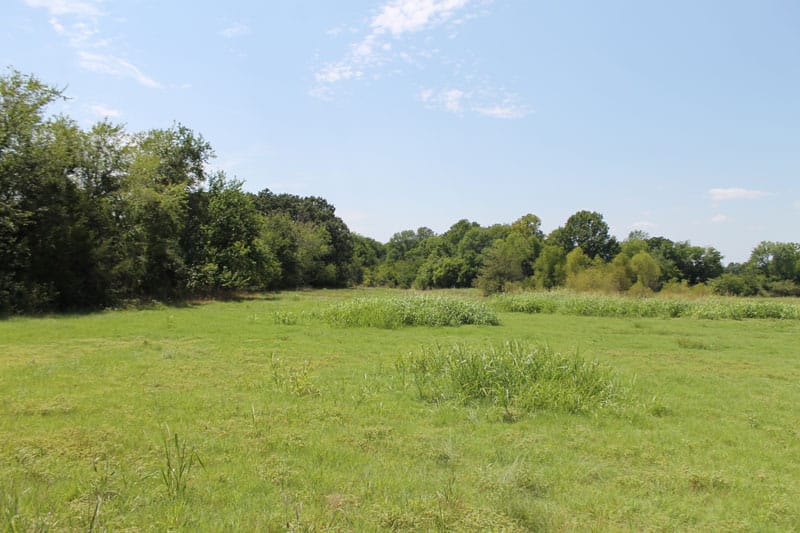 McCoy Creek Ranch Tract 11 photo 2