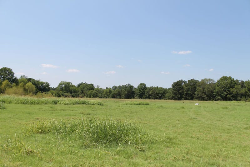 McCoy Creek Ranch Tract 11 photo 3