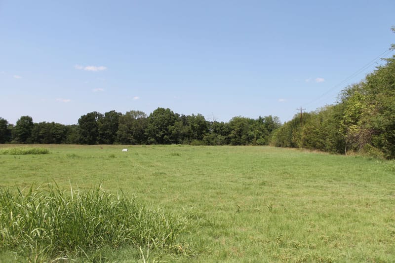 McCoy Creek Ranch Tract 11 photo 4