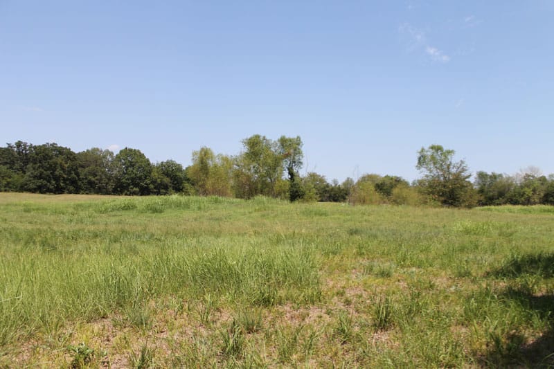 McCoy Creek Ranch Tract 11 photo 5