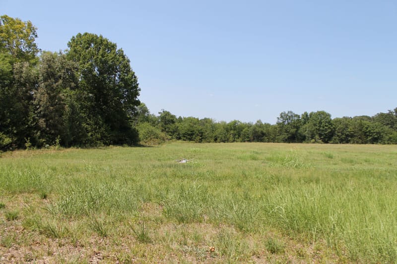 McCoy Creek Ranch Tract 11 photo 6