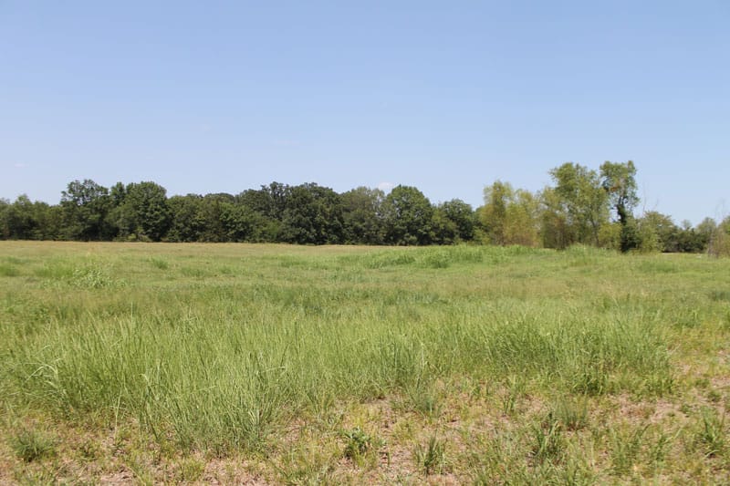 McCoy Creek Ranch Tract 11 photo 7