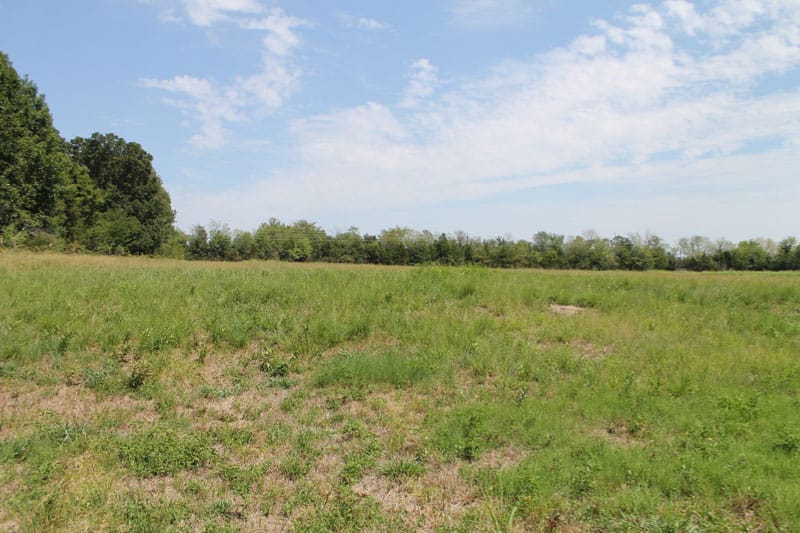 McCoy Creek Ranch Tract 11 photo 8