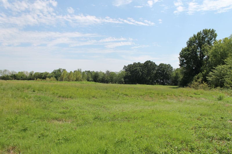 McCoy Creek Ranch Tract 11 photo 9