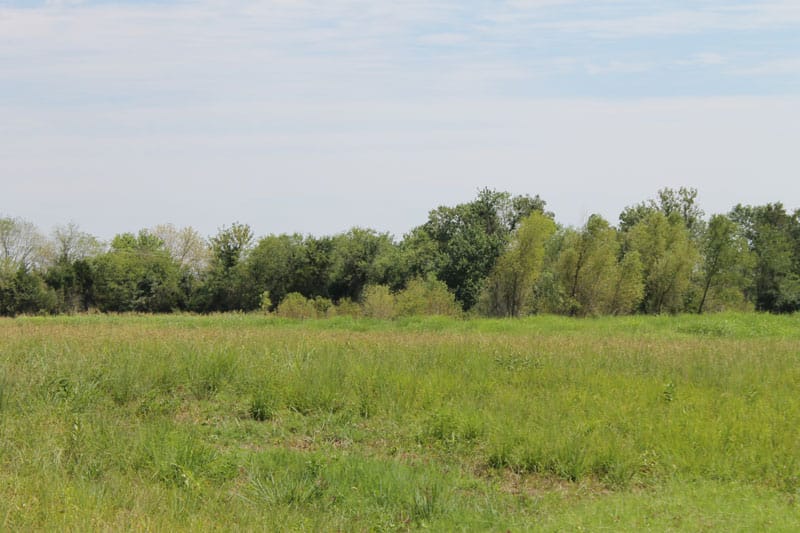 McCoy Creek Ranch Tract 11 photo 10