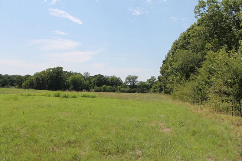 McCoy Creek Ranch Tract 11 photo 11