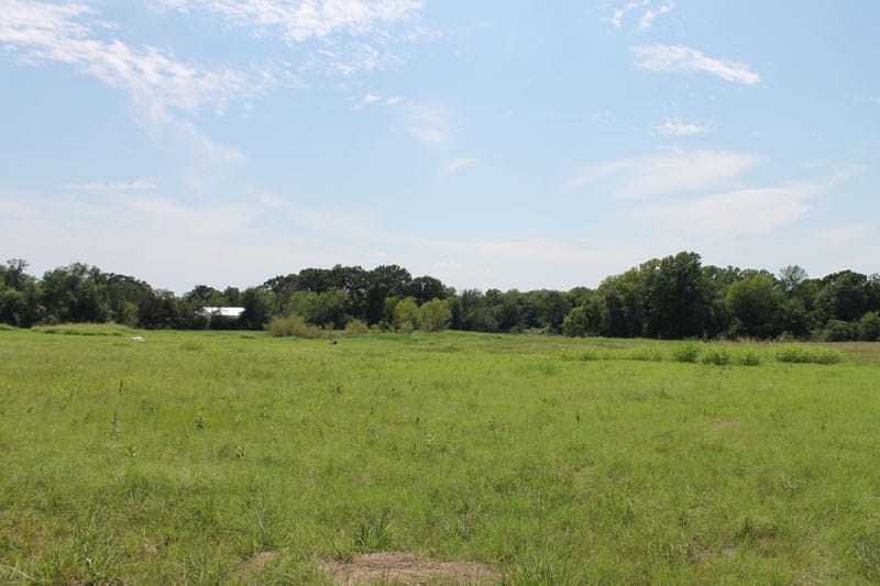 McCoy Creek Ranch Tract 11 photo 13