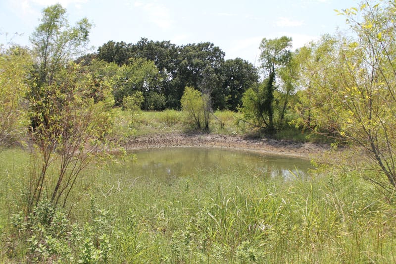 McCoy Creek Ranch Tract 11 photo 14