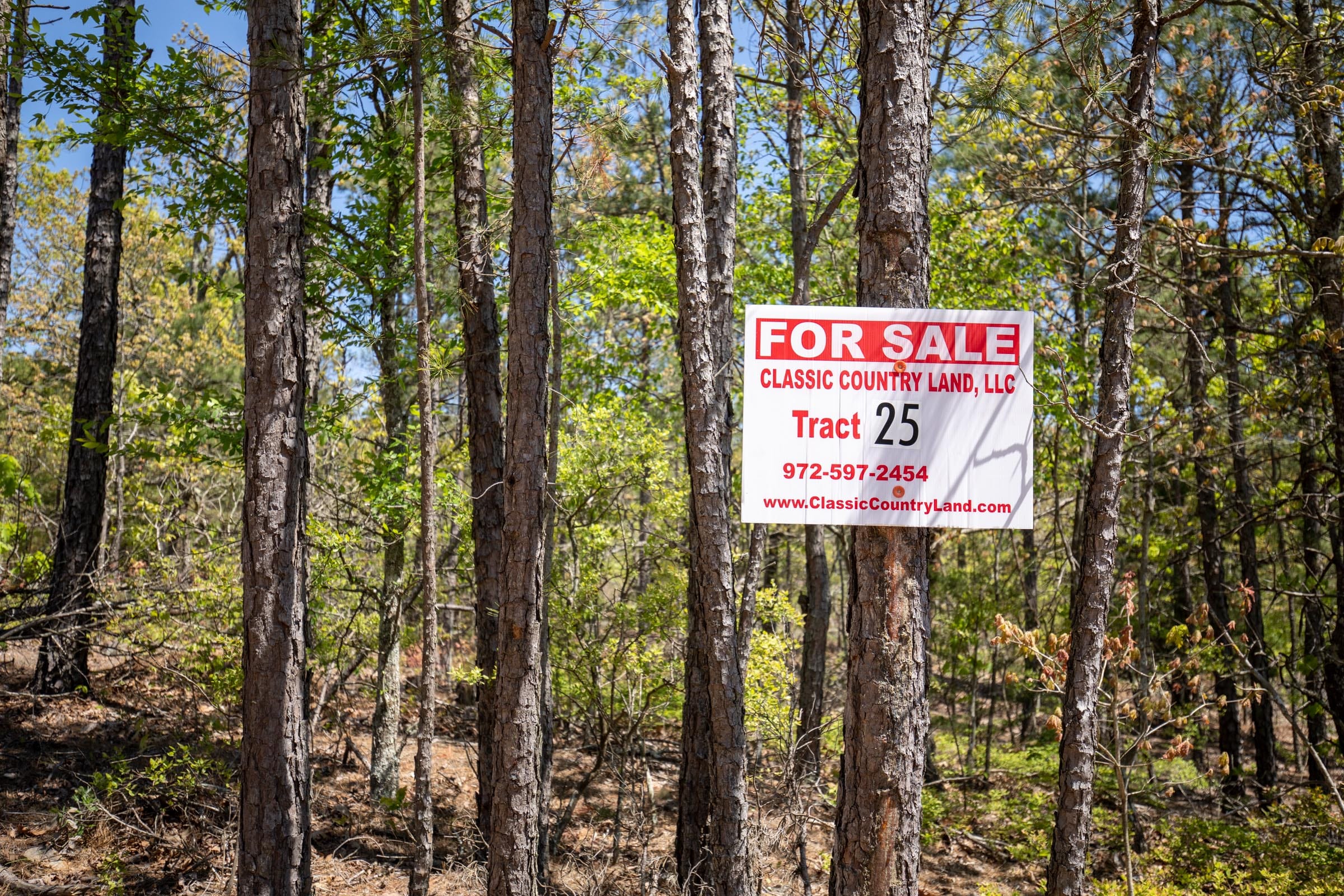 Eagle’s Nest Tract 25 photo 1