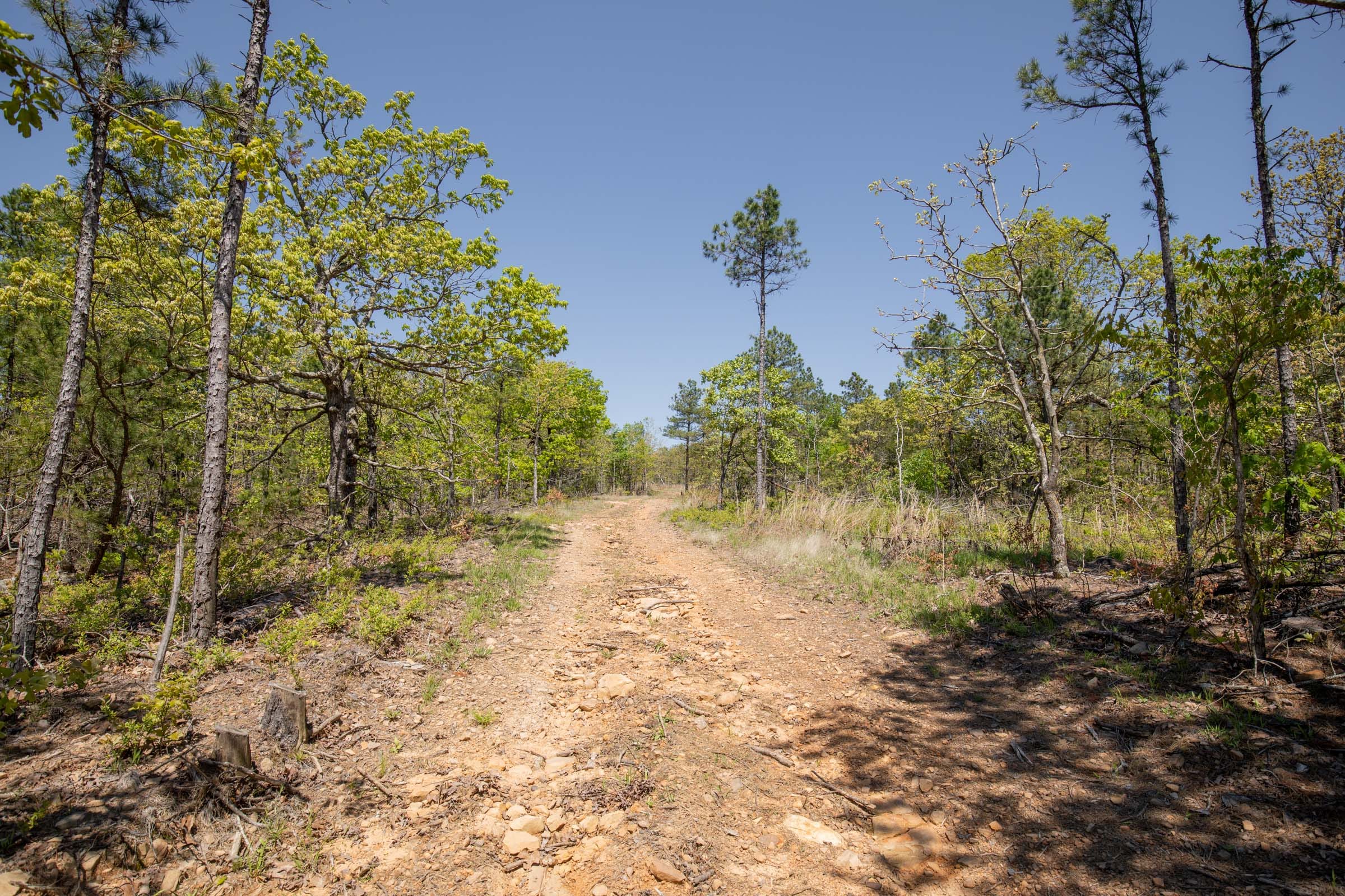 Eagle’s Nest Tract 25 photo 2