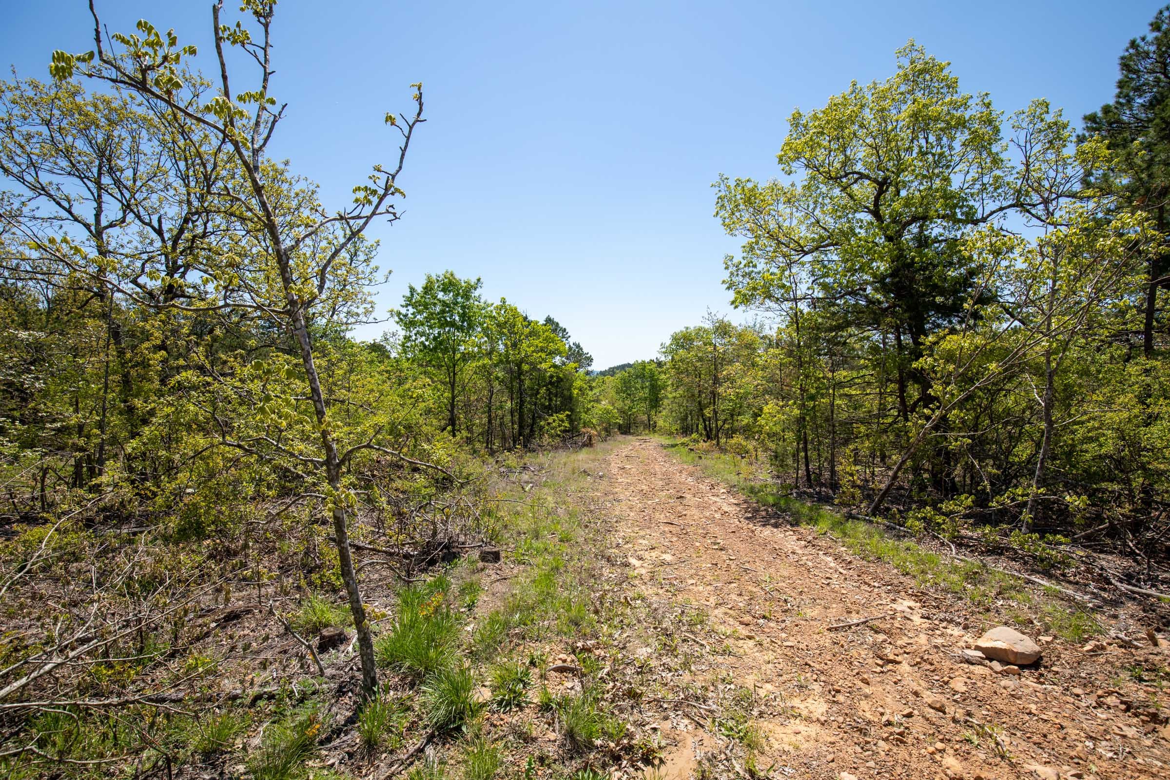 Eagle’s Nest Tract 25 photo 4