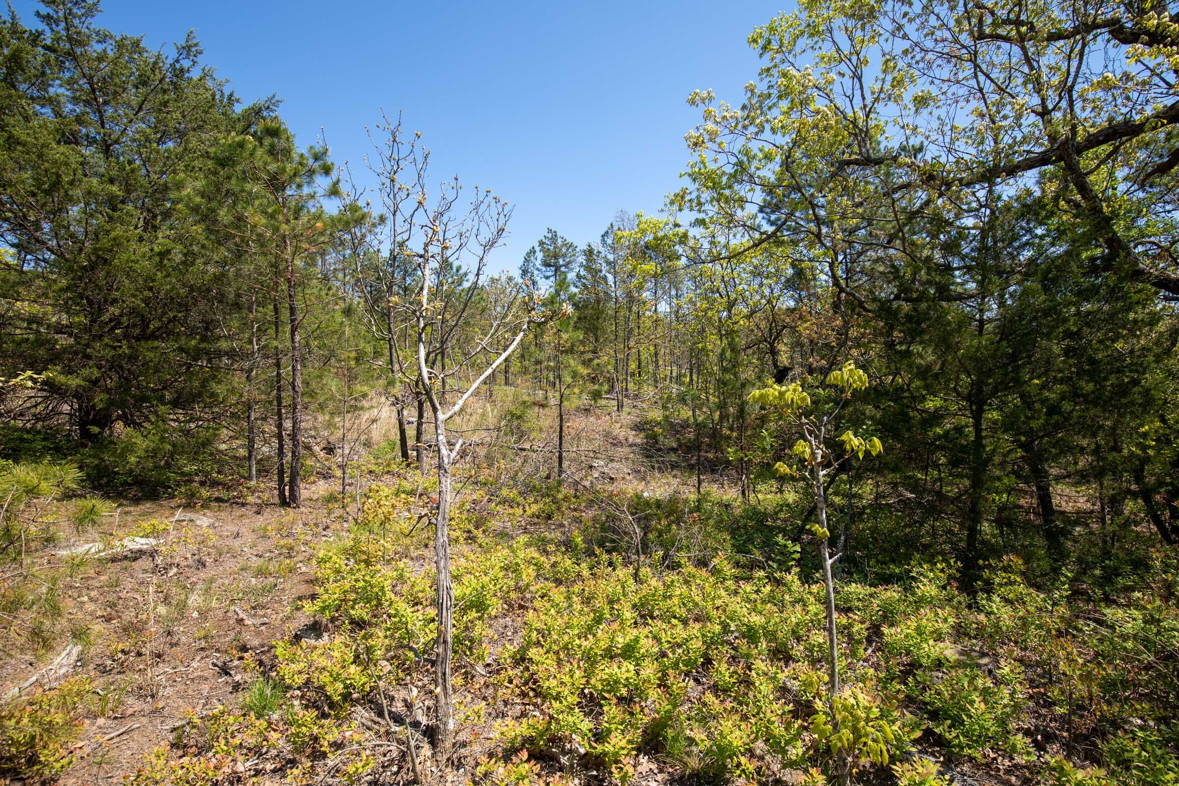 Eagle’s Nest Tract 25 photo 7
