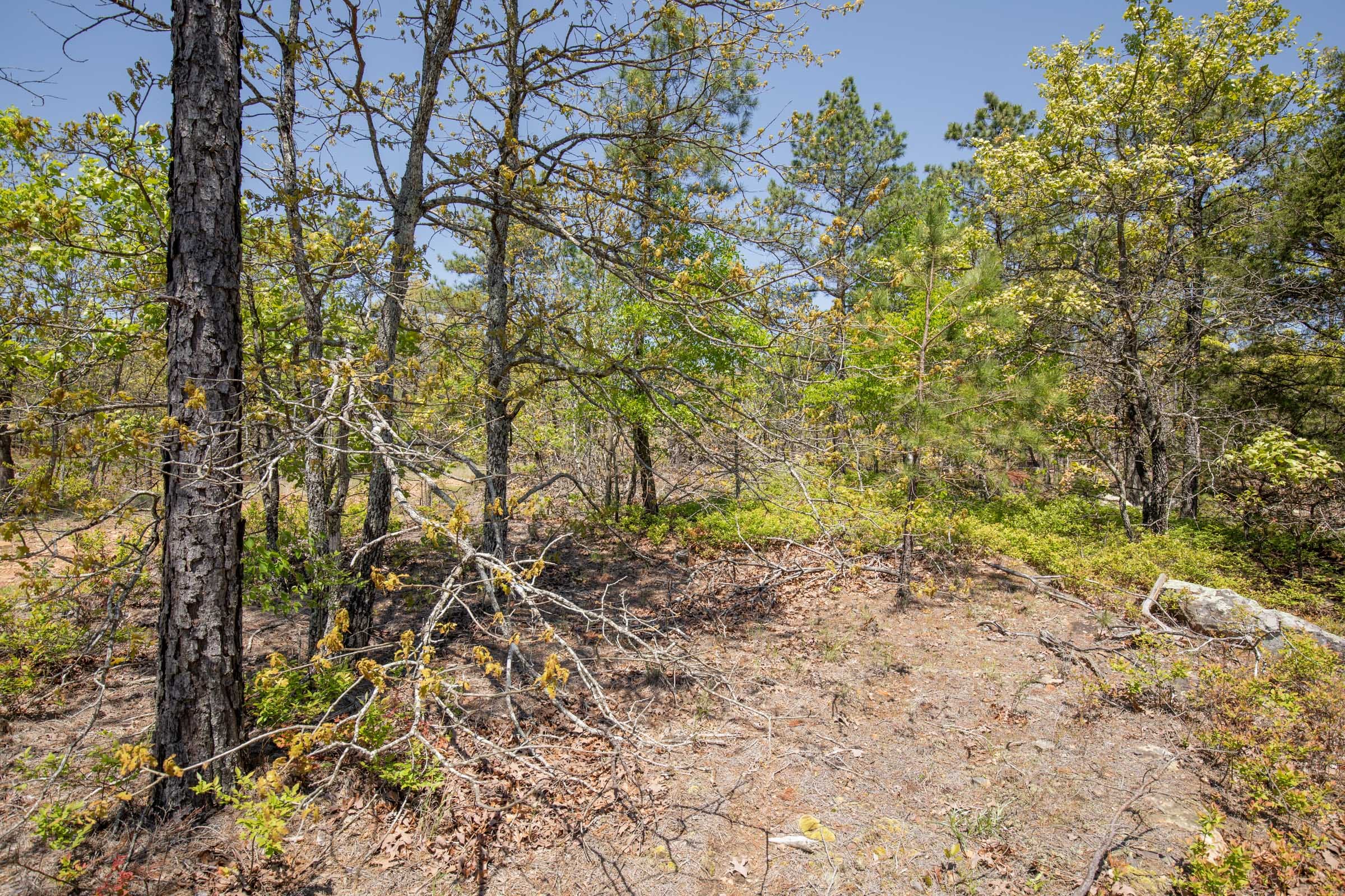 Eagle’s Nest Tract 25 photo 8