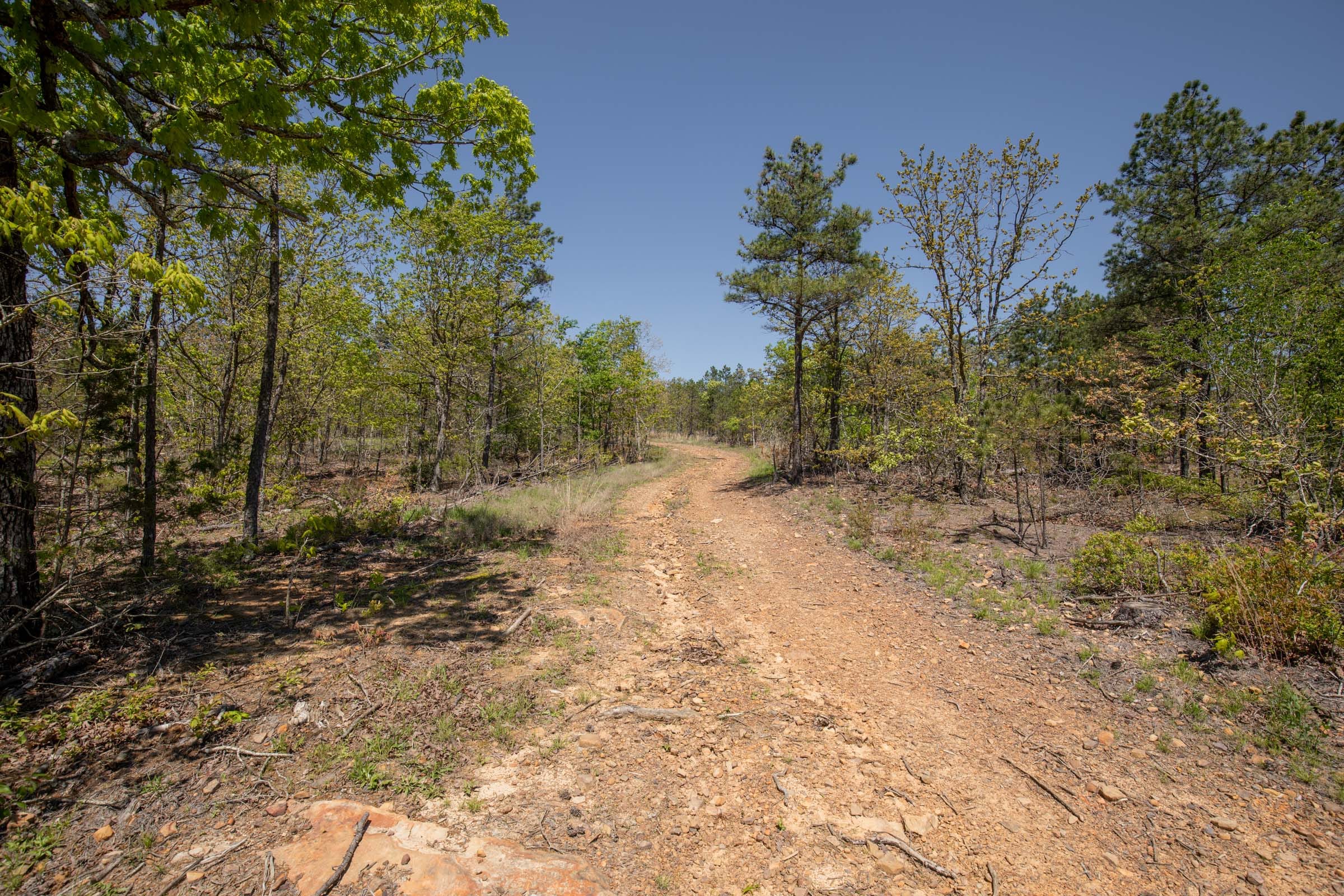 Eagle’s Nest Tract 25 photo 9