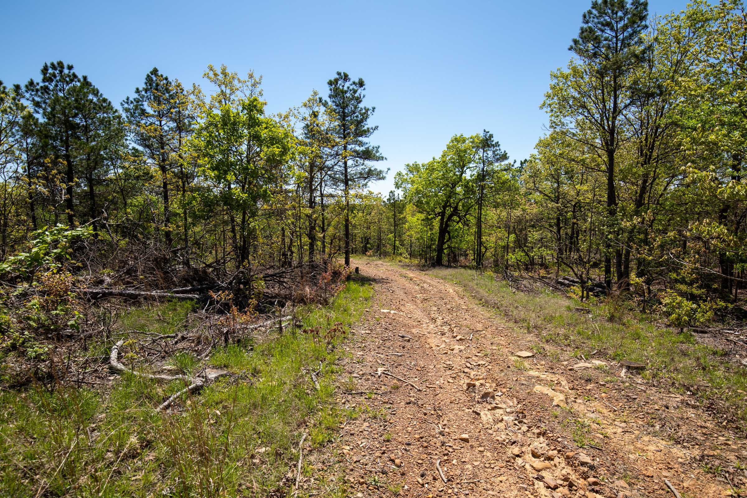 Eagle’s Nest Tract 25 photo 12