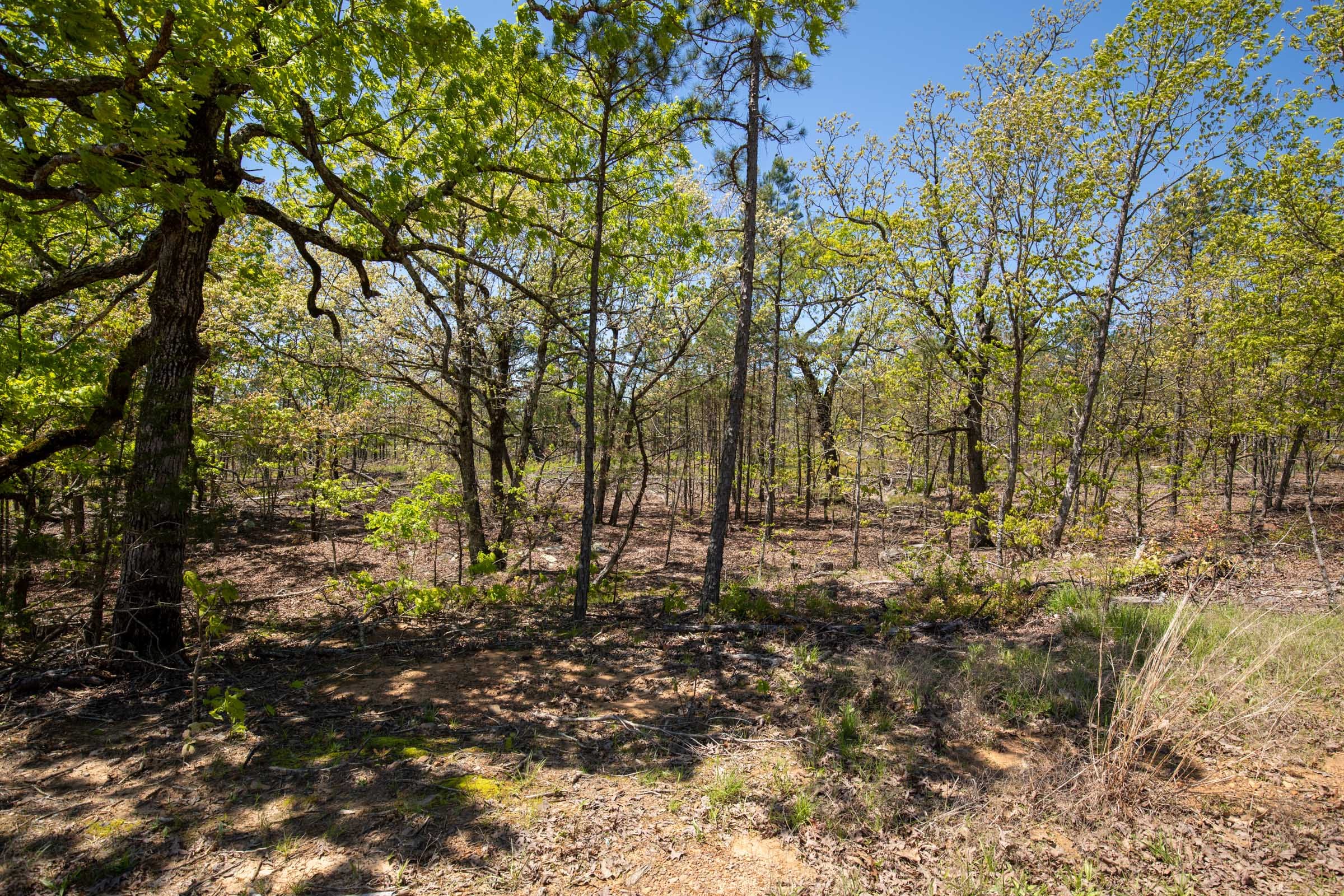Eagle’s Nest Tract 25 photo 14