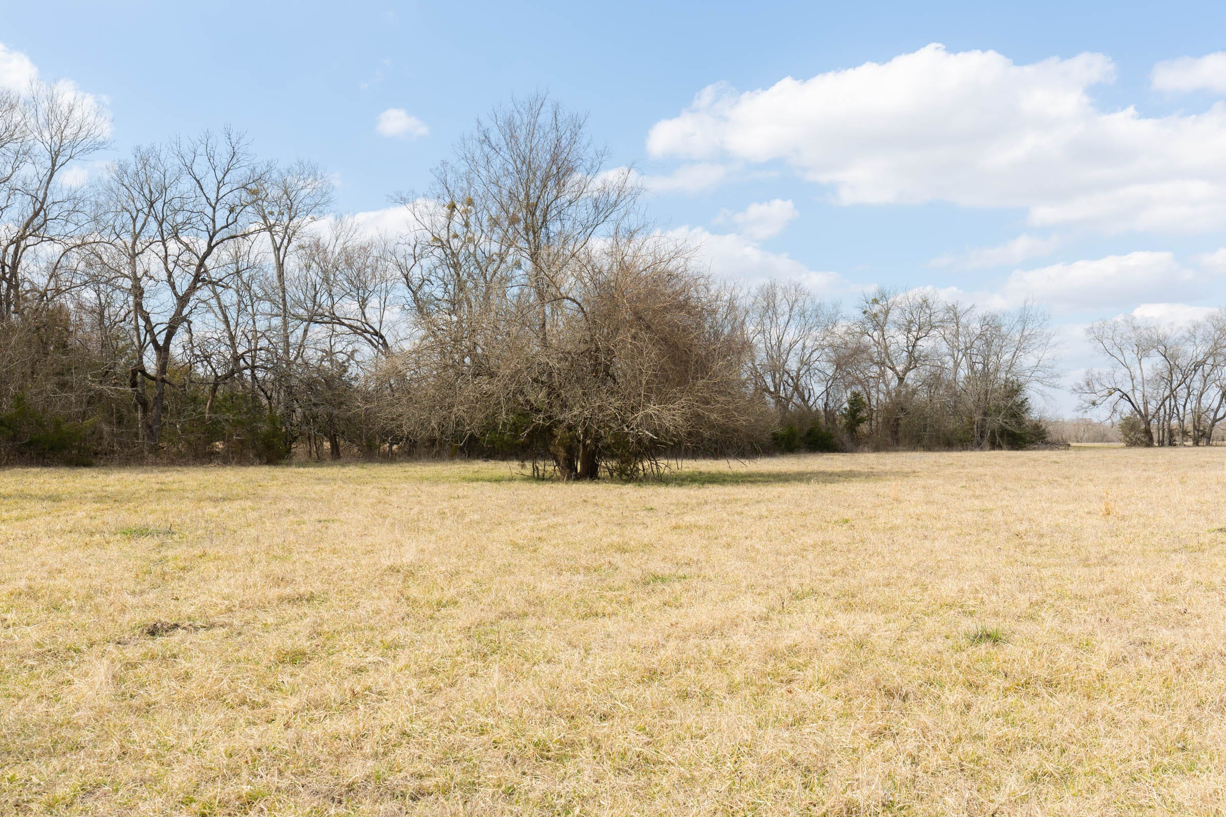 Wishing Star Ranch Tract 32 photo 4
