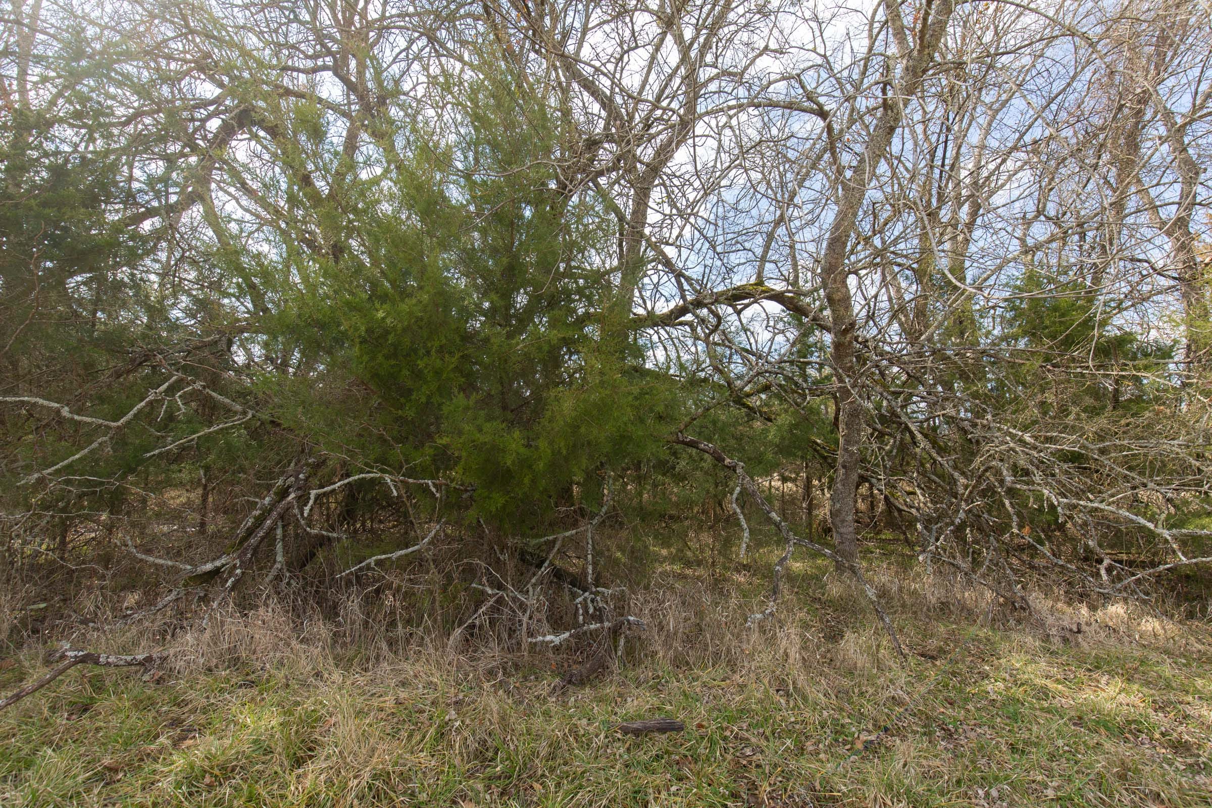 Wishing Star Ranch Tract 32 photo 7