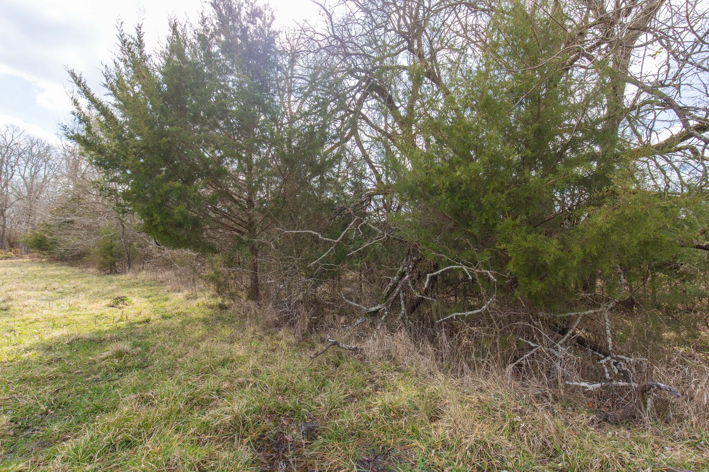 Wishing Star Ranch Tract 32 photo 9