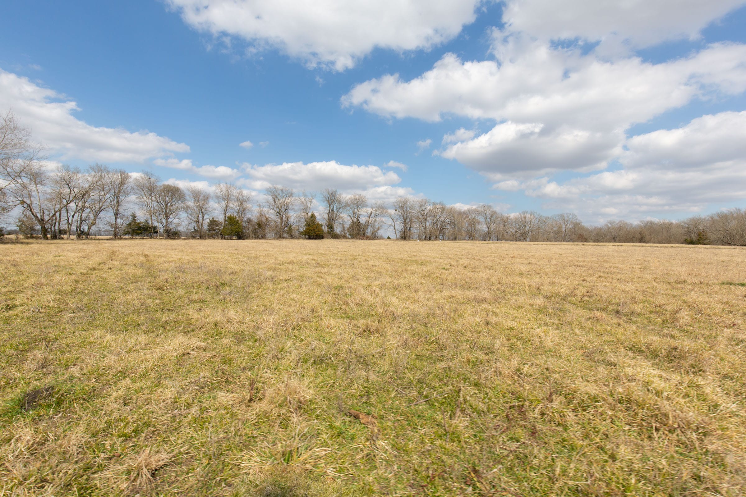 Wishing Star Ranch Tract 32 photo 8