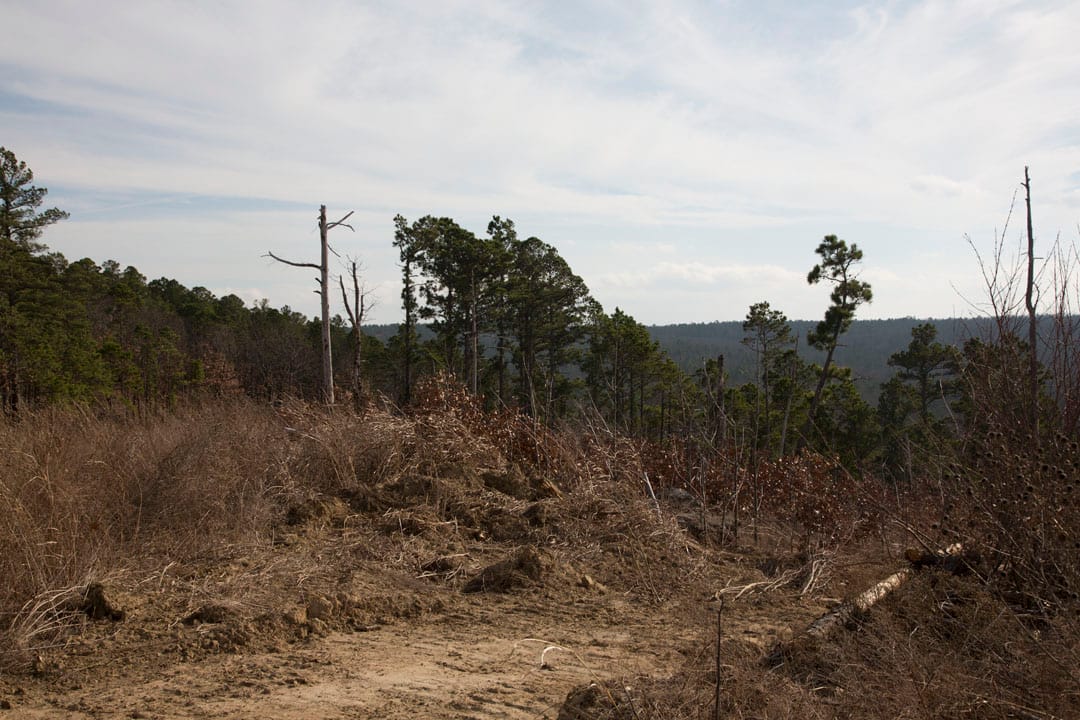 Stone Creek Phase III Tract 73 photo 3