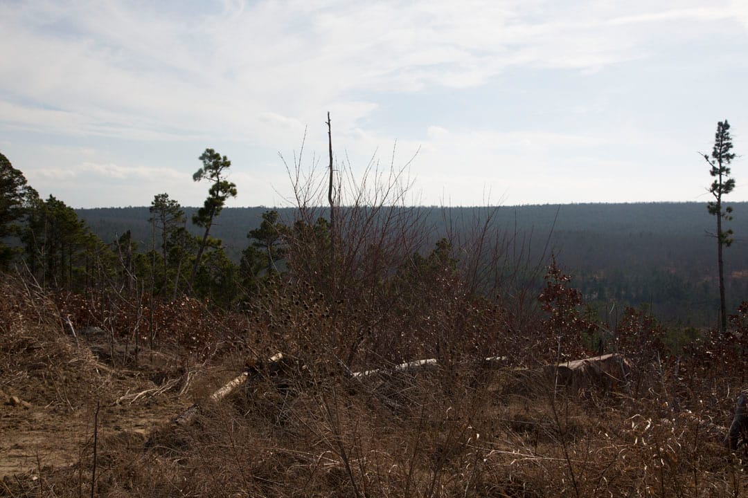 Stone Creek Phase III Tract 73 photo 4